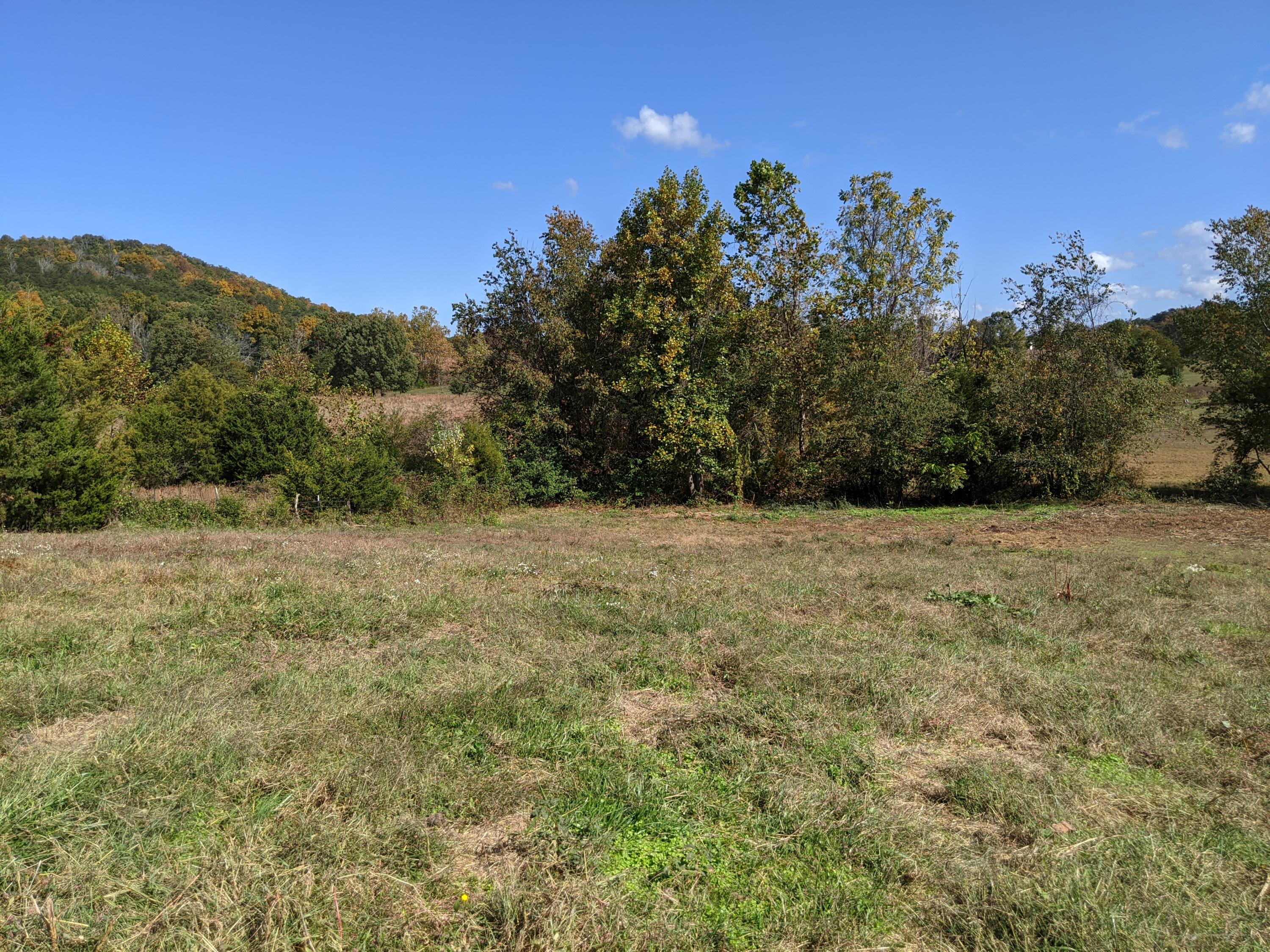 0 White Sands Road, Unit 31 Greeneville, TN 37743 - Photo 15 of 41 PXL_20201022_170908443