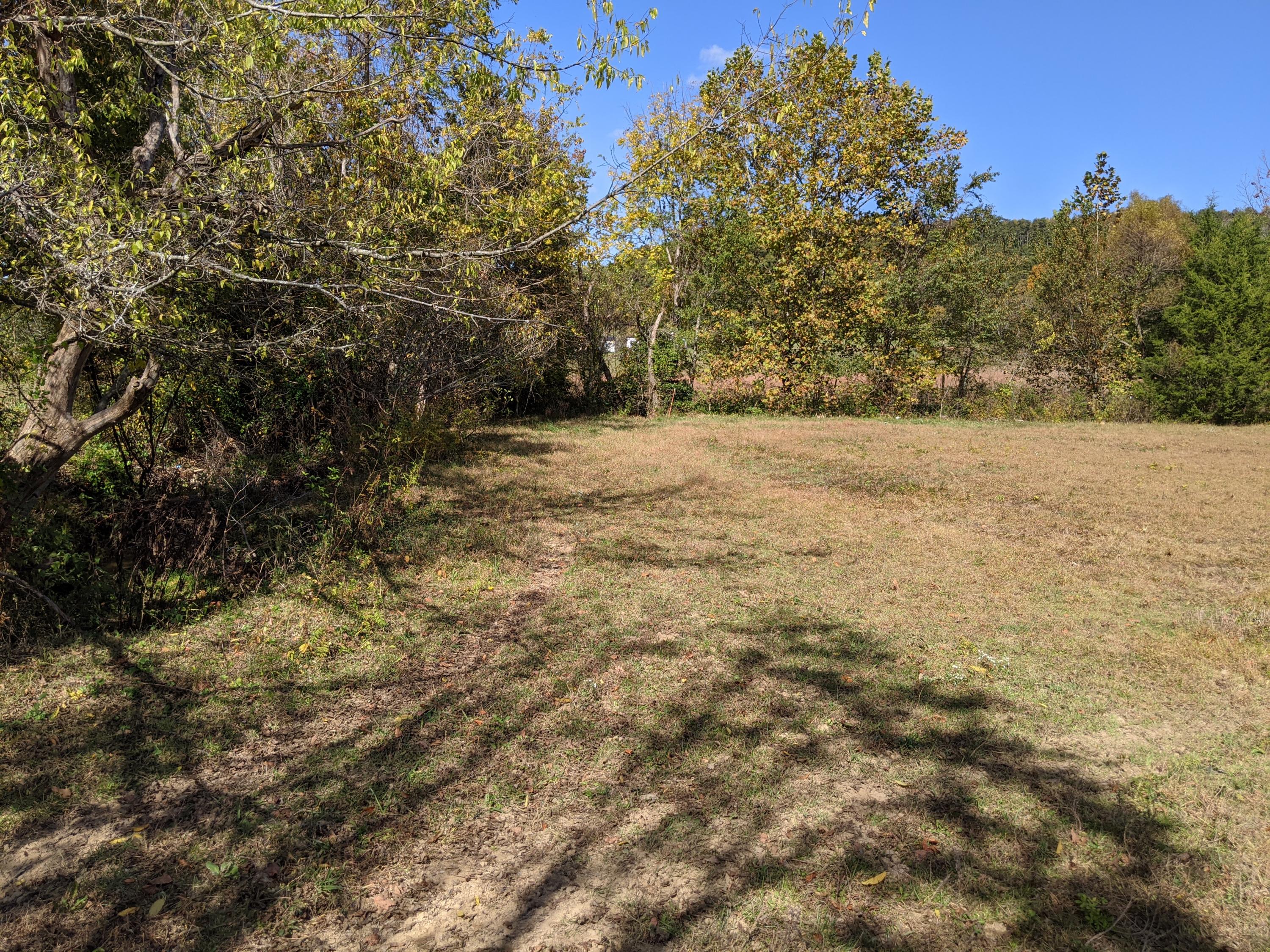 0 White Sands Road, Unit 31 Greeneville, TN 37743 - Photo 16 of 41 PXL_20201022_171019156