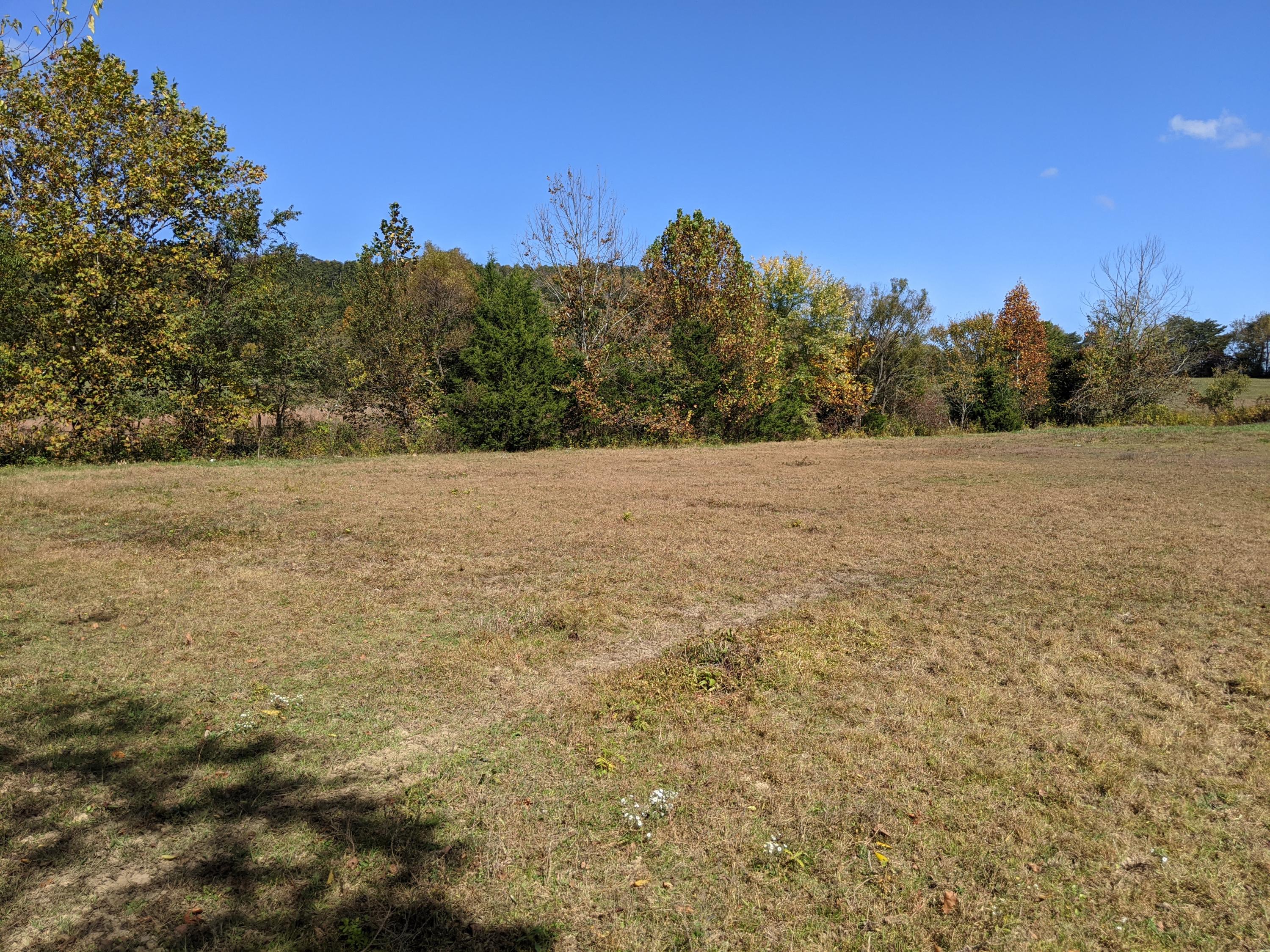 0 White Sands Road, Unit 31 Greeneville, TN 37743 - Photo 17 of 41 PXL_20201022_171021182