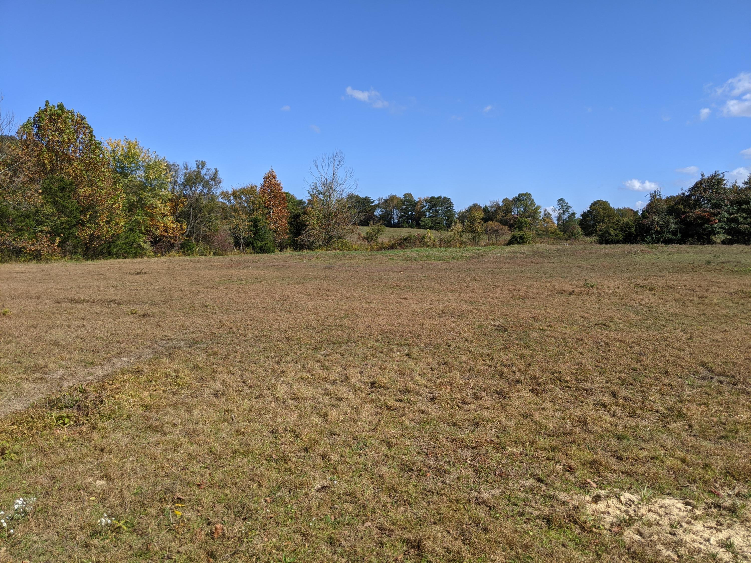 0 White Sands Road, Unit 31 Greeneville, TN 37743 - Photo 18 of 41 PXL_20201022_171022760