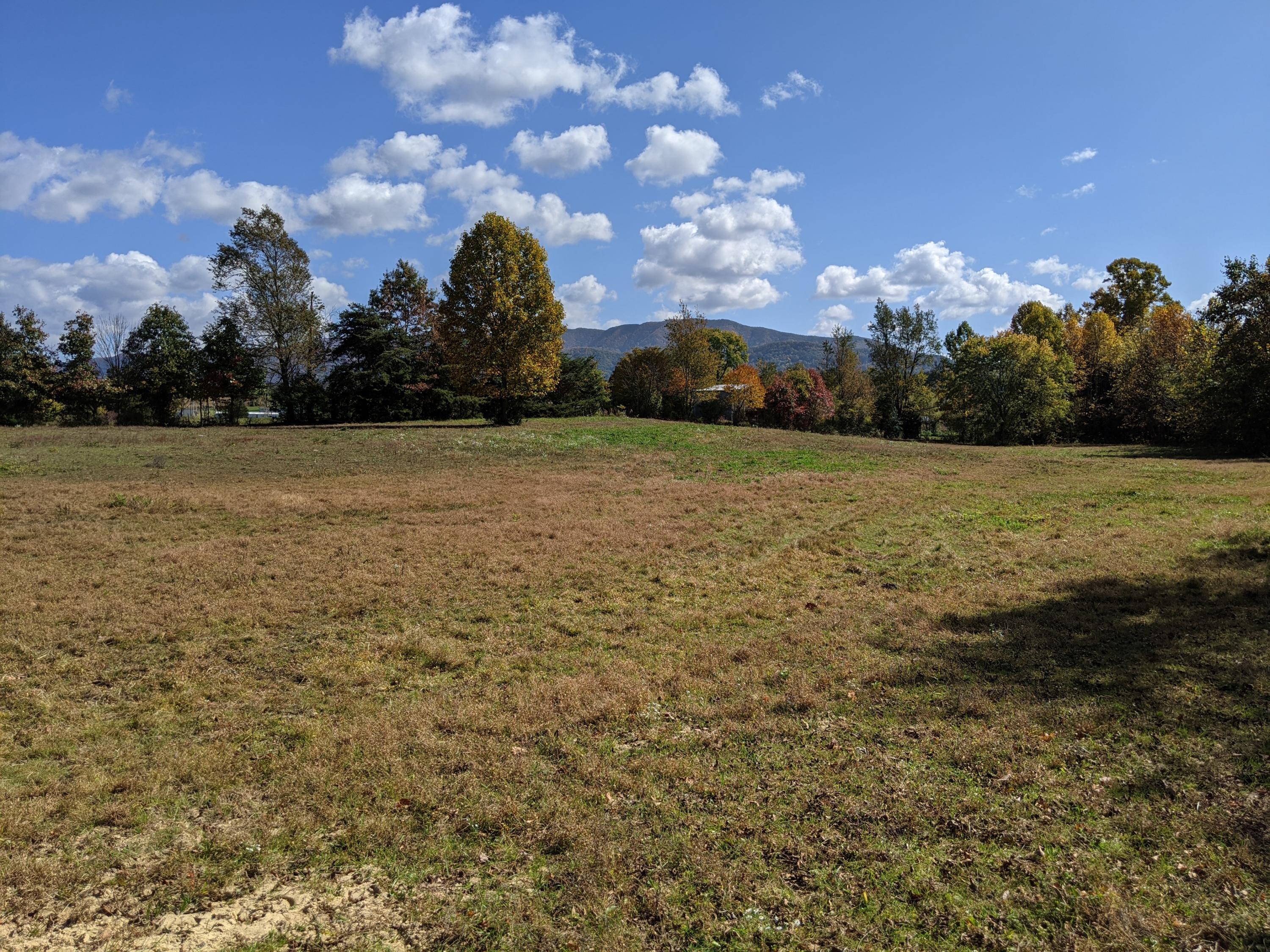 0 White Sands Road, Unit 31 Greeneville, TN 37743 - Photo 20 of 41 PXL_20201022_171026122