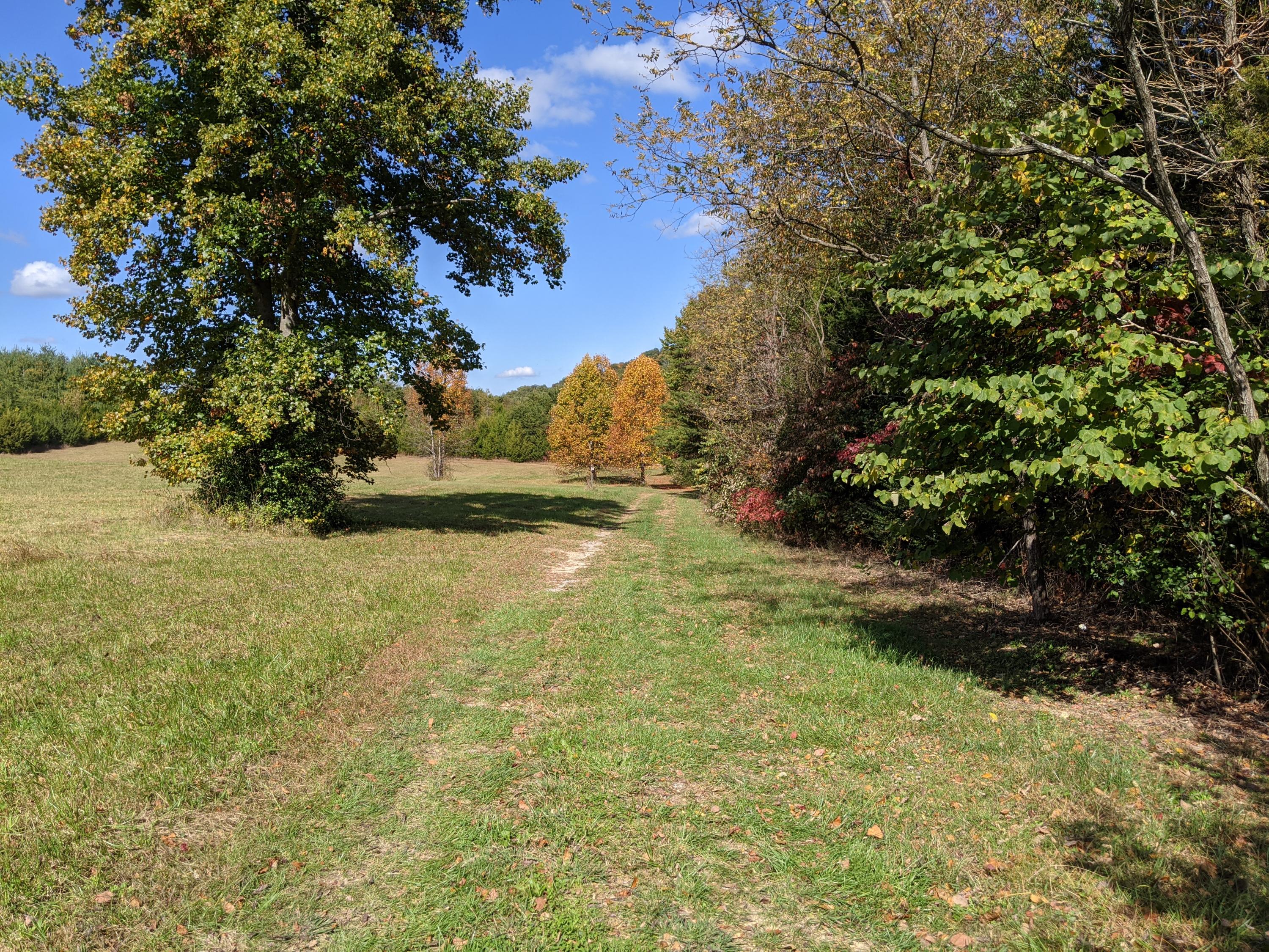 0 White Sands Road, Unit 31 Greeneville, TN 37743 - Photo 2 of 41 PXL_20201022_170351675