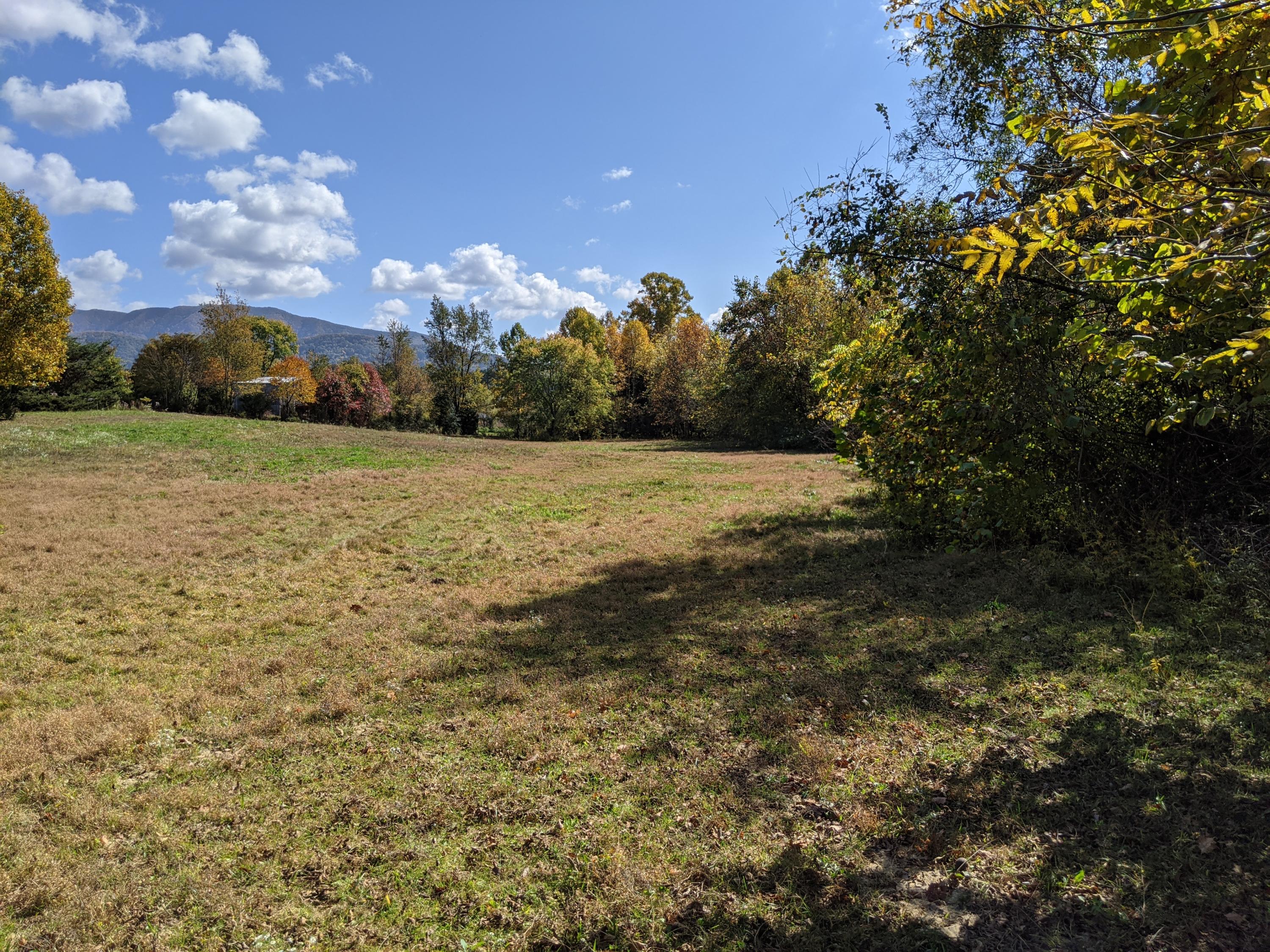 0 White Sands Road, Unit 31 Greeneville, TN 37743 - Photo 21 of 41 PXL_20201022_171027707