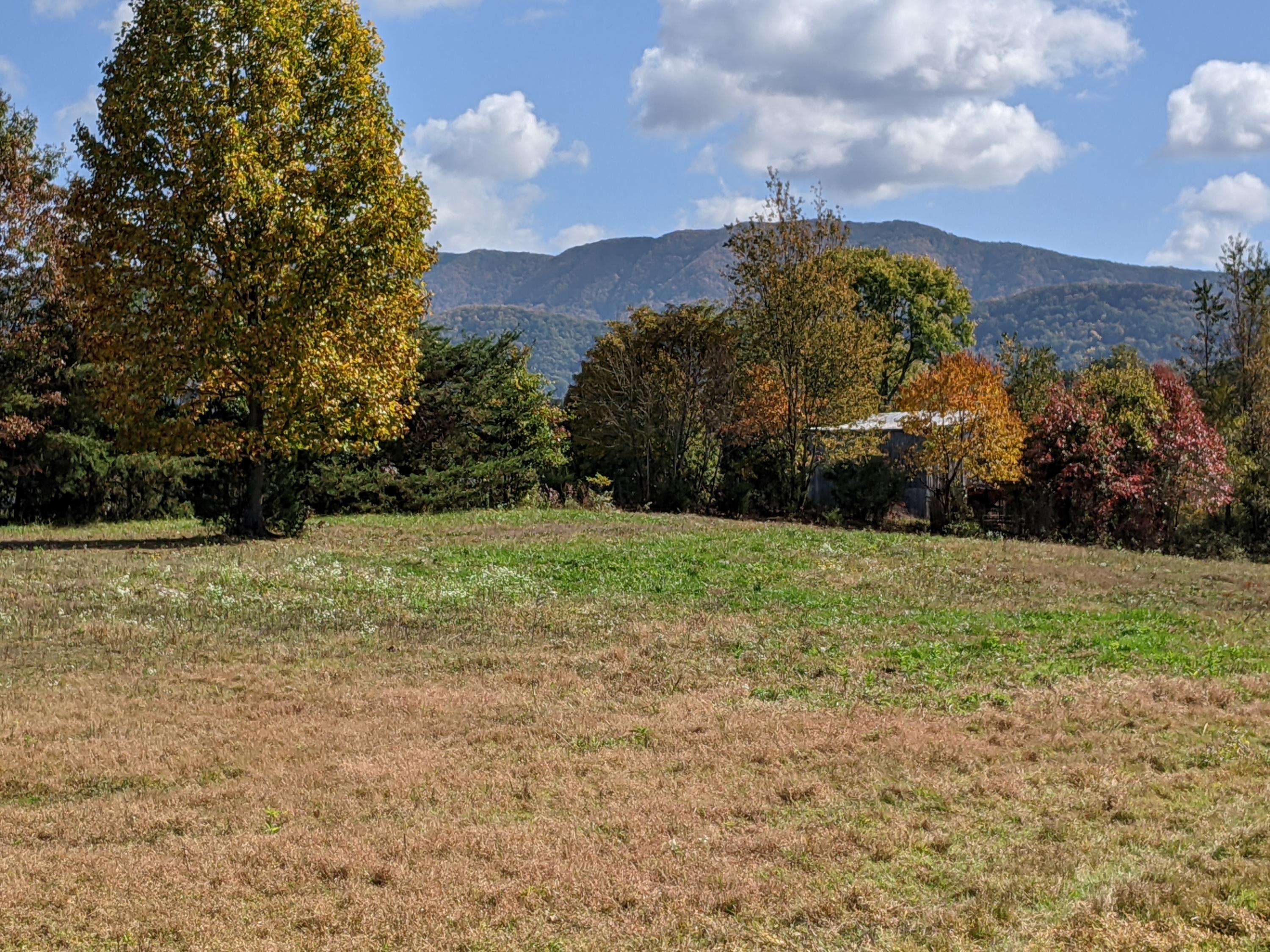 0 White Sands Road, Unit 31 Greeneville, TN 37743 - Photo 22 of 41 PXL_20201022_171035866