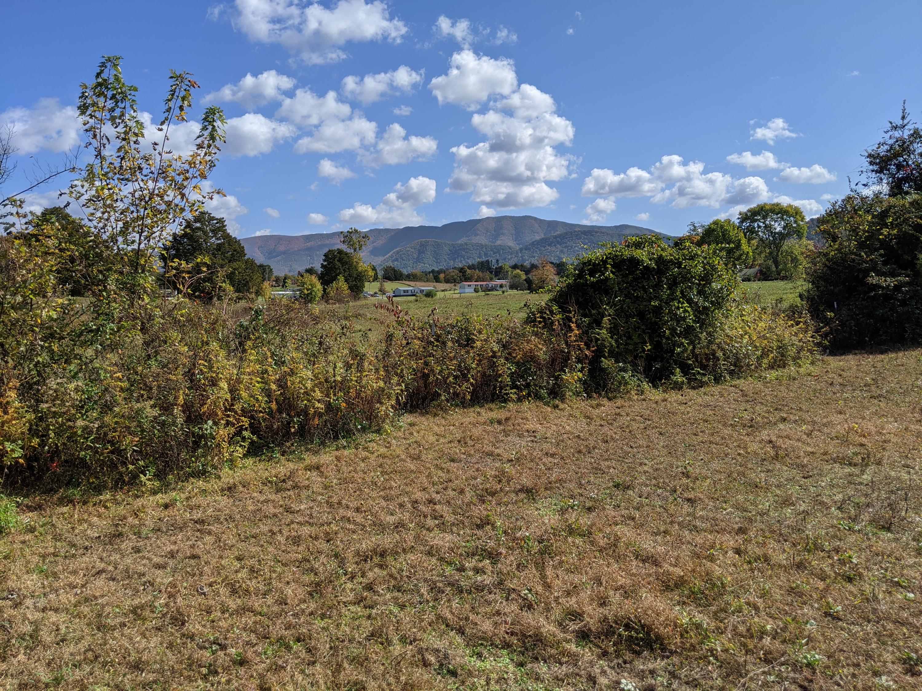 0 White Sands Road, Unit 31 Greeneville, TN 37743 - Photo 23 of 41 PXL_20201022_171146778