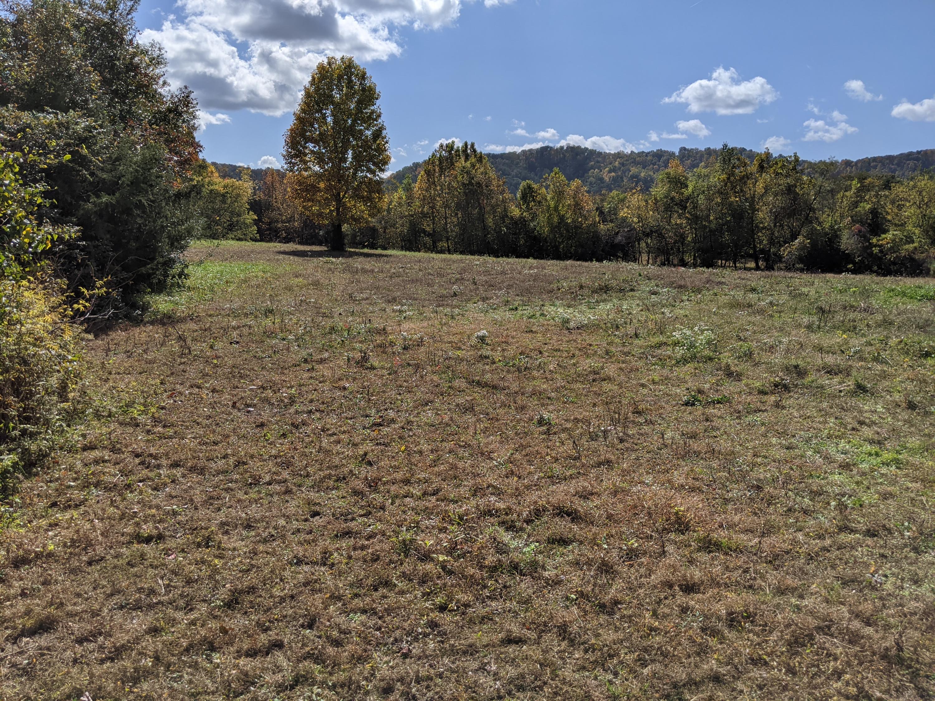 0 White Sands Road, Unit 31 Greeneville, TN 37743 - Photo 26 of 41 PXL_20201022_171214695