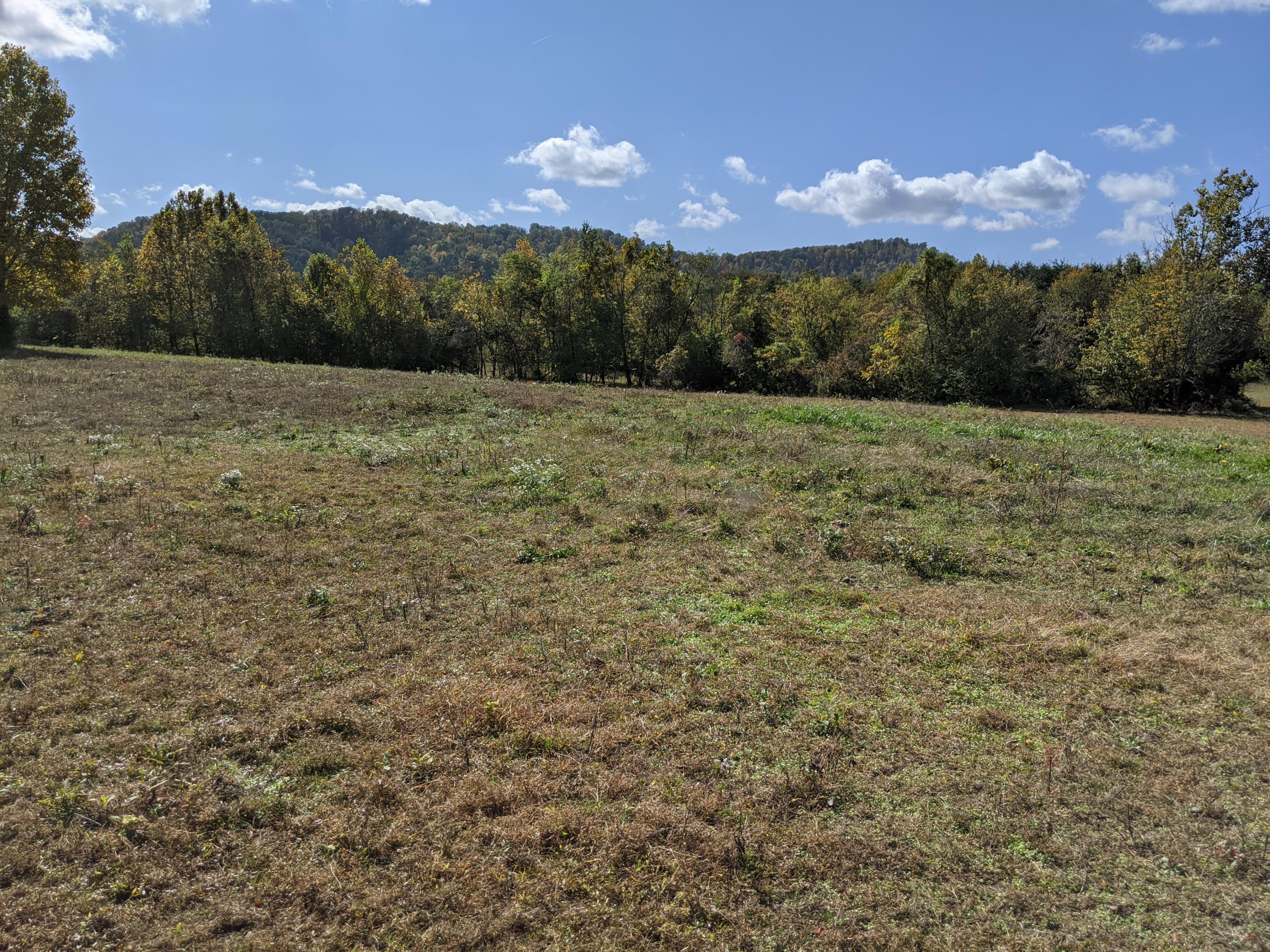 0 White Sands Road, Unit 31 Greeneville, TN 37743 - Photo 27 of 41 PXL_20201022_171216414