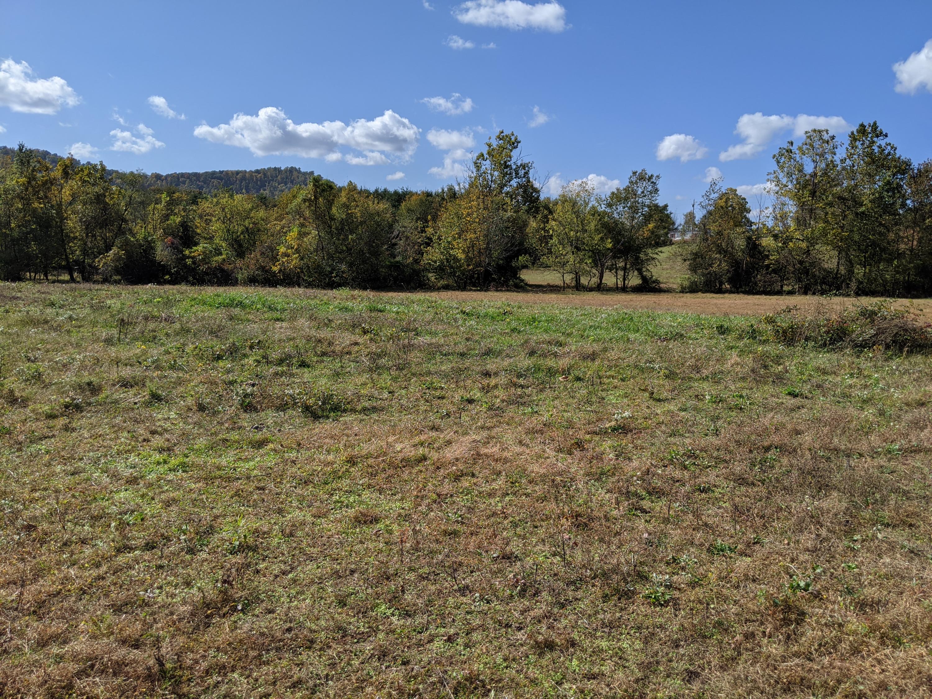 0 White Sands Road, Unit 31 Greeneville, TN 37743 - Photo 28 of 41 PXL_20201022_171217914