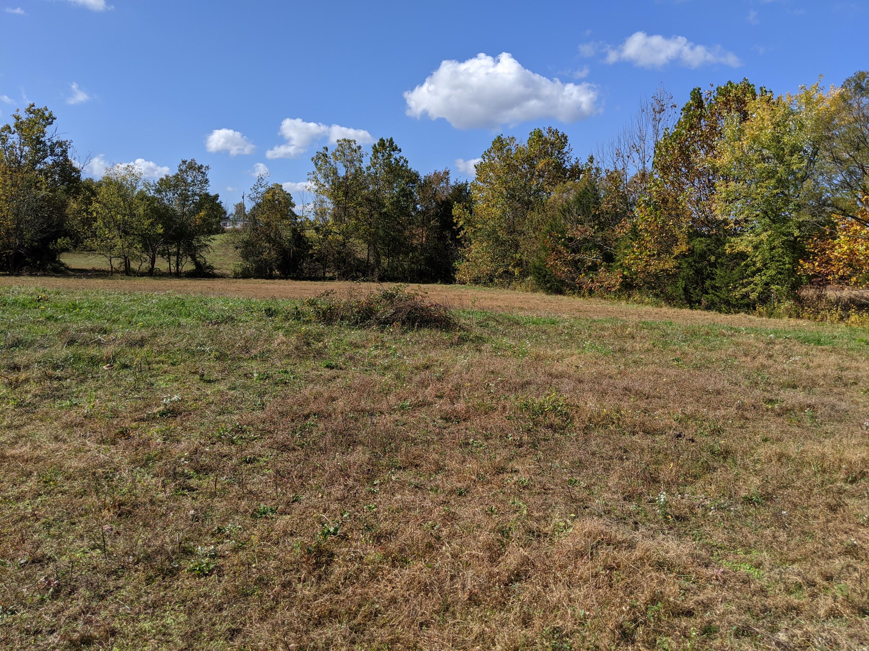 0 White Sands Road, Unit 31 Greeneville, TN 37743 - Photo 29 of 41 PXL_20201022_171219974