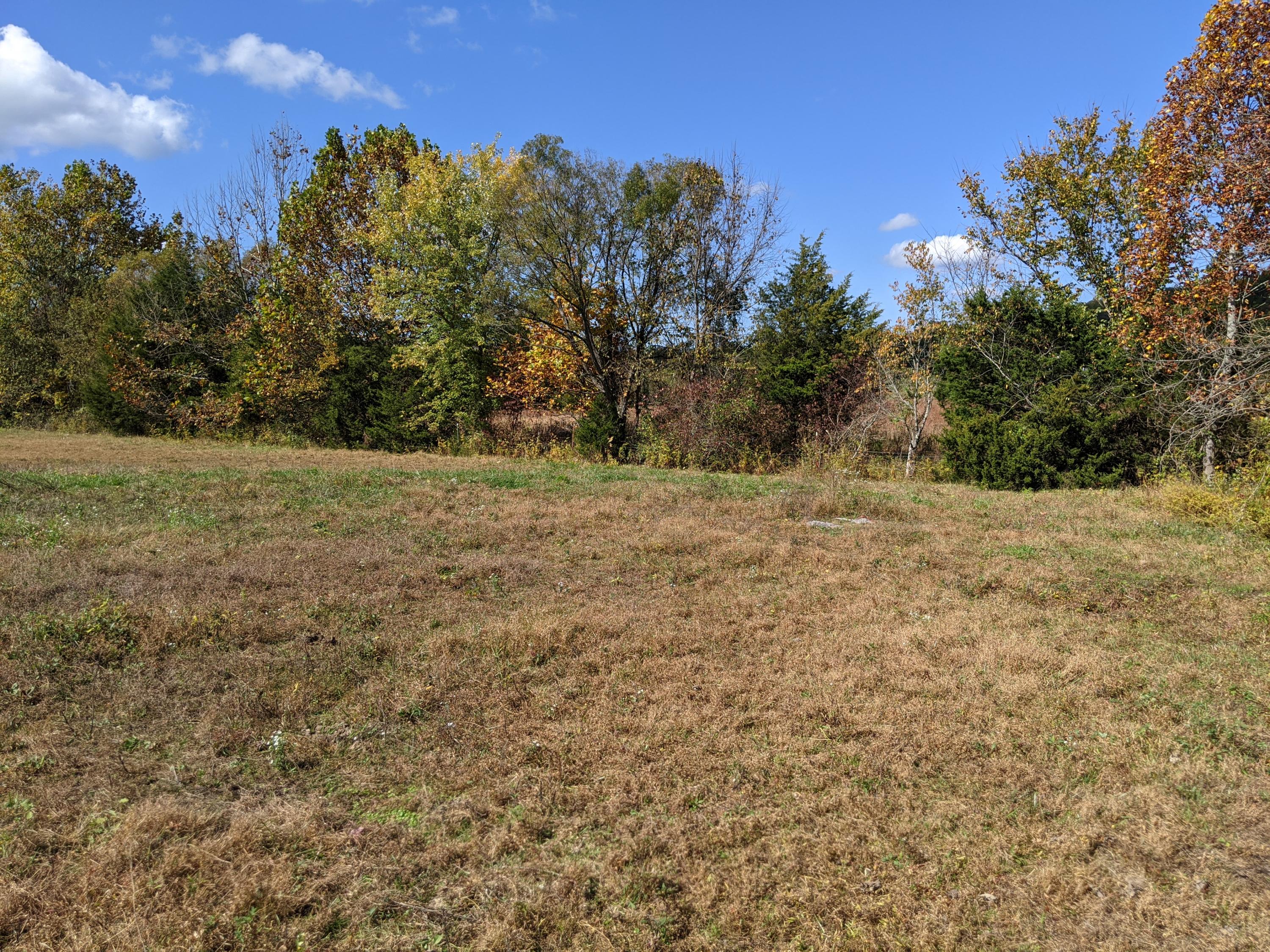 0 White Sands Road, Unit 31 Greeneville, TN 37743 - Photo 30 of 41 PXL_20201022_171222444