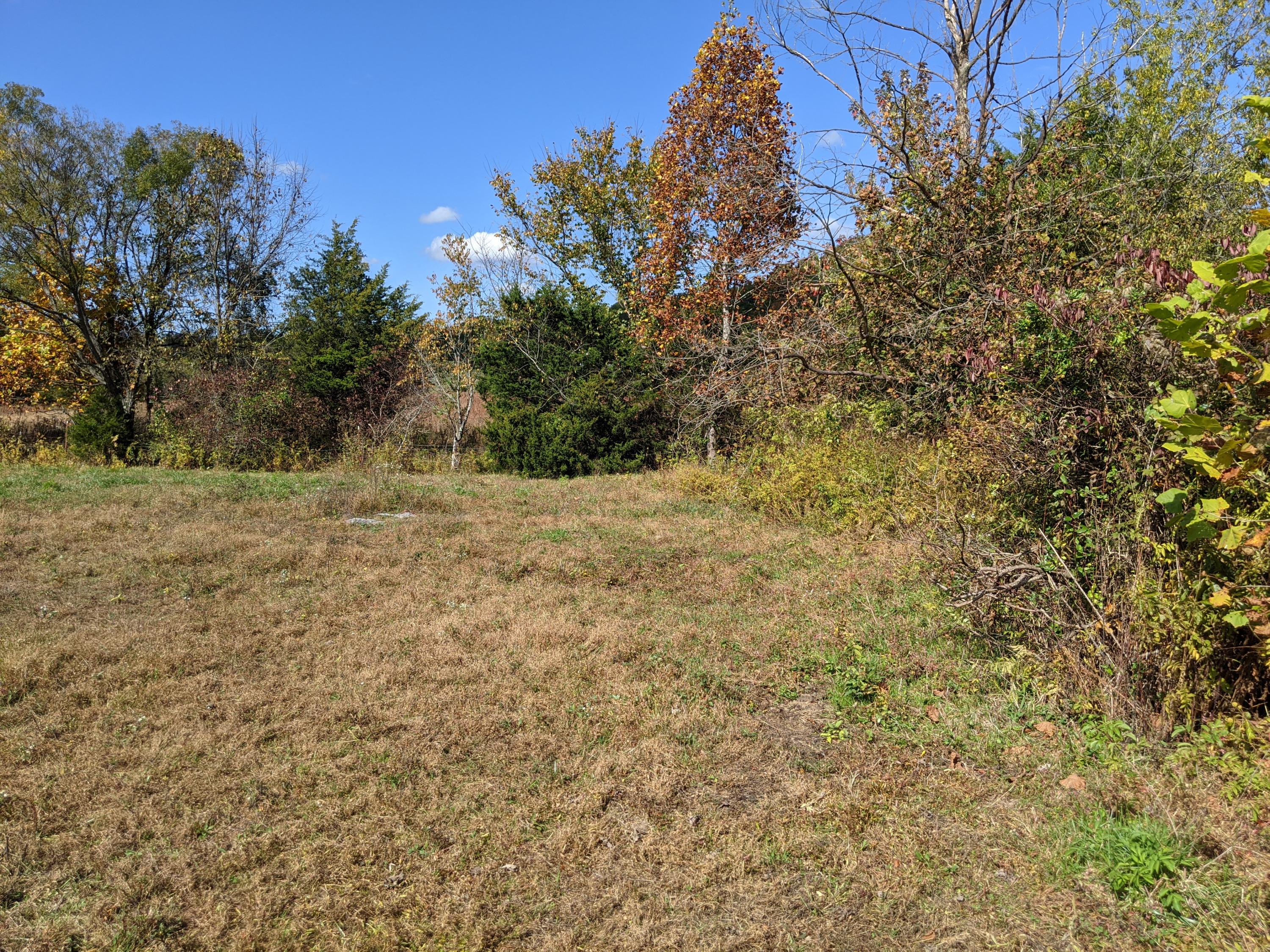 0 White Sands Road, Unit 31 Greeneville, TN 37743 - Photo 31 of 41 PXL_20201022_171224078