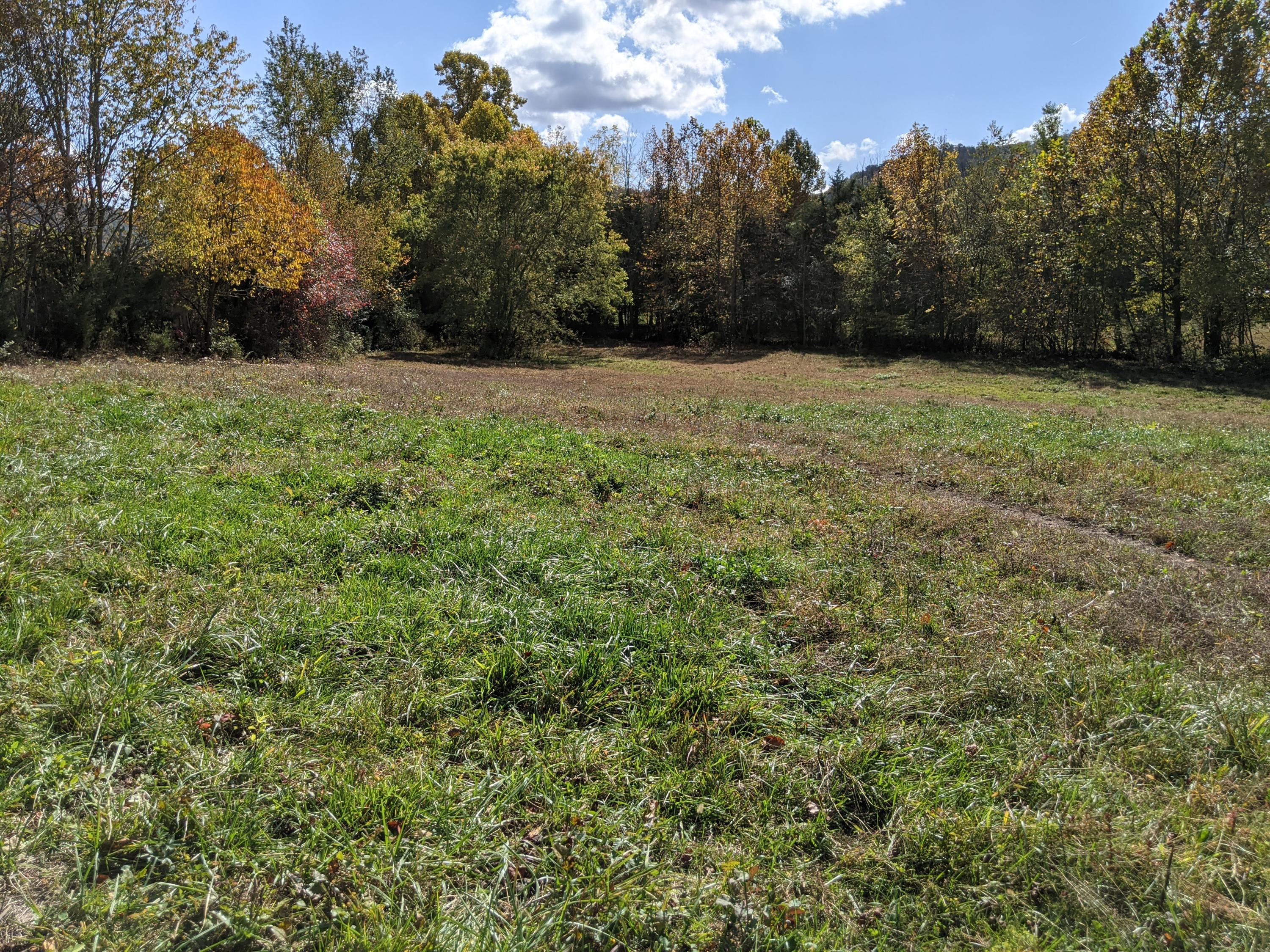 0 White Sands Road, Unit 31 Greeneville, TN 37743 - Photo 33 of 41 PXL_20201022_171337275
