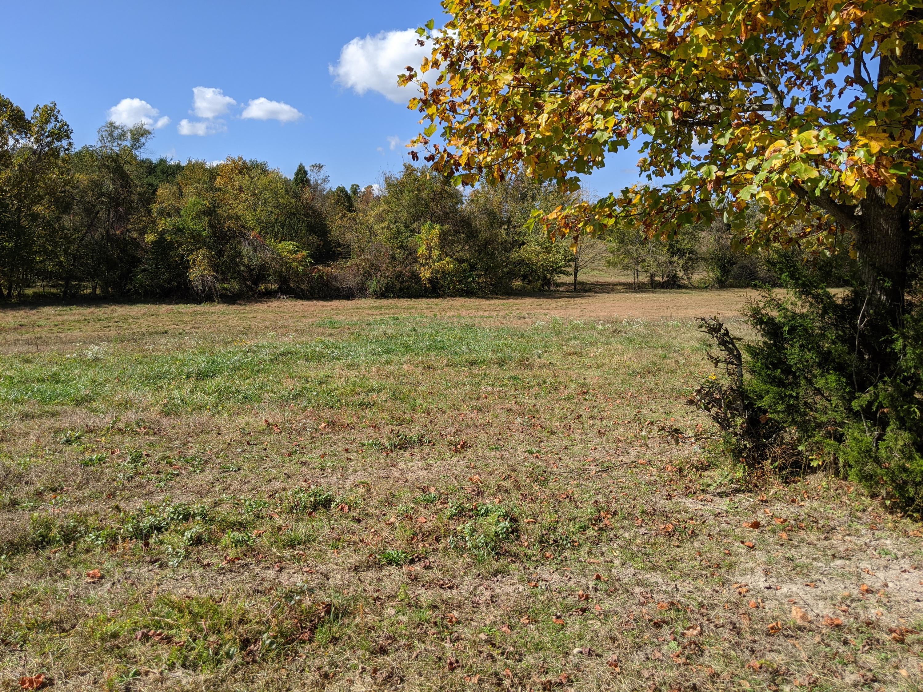 0 White Sands Road, Unit 31 Greeneville, TN 37743 - Photo 34 of 41 PXL_20201022_171341122