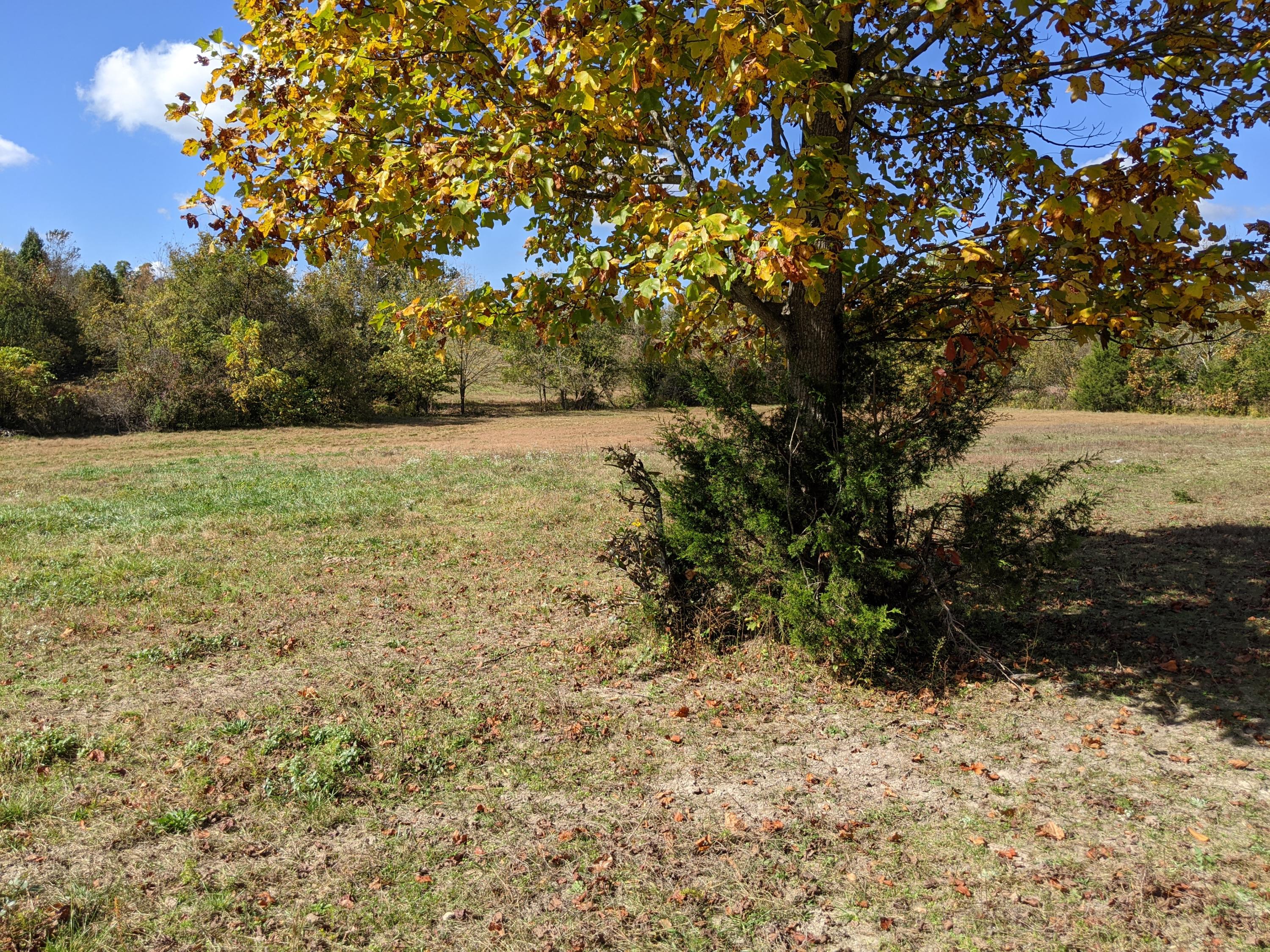 0 White Sands Road, Unit 31 Greeneville, TN 37743 - Photo 35 of 41 PXL_20201022_171343409