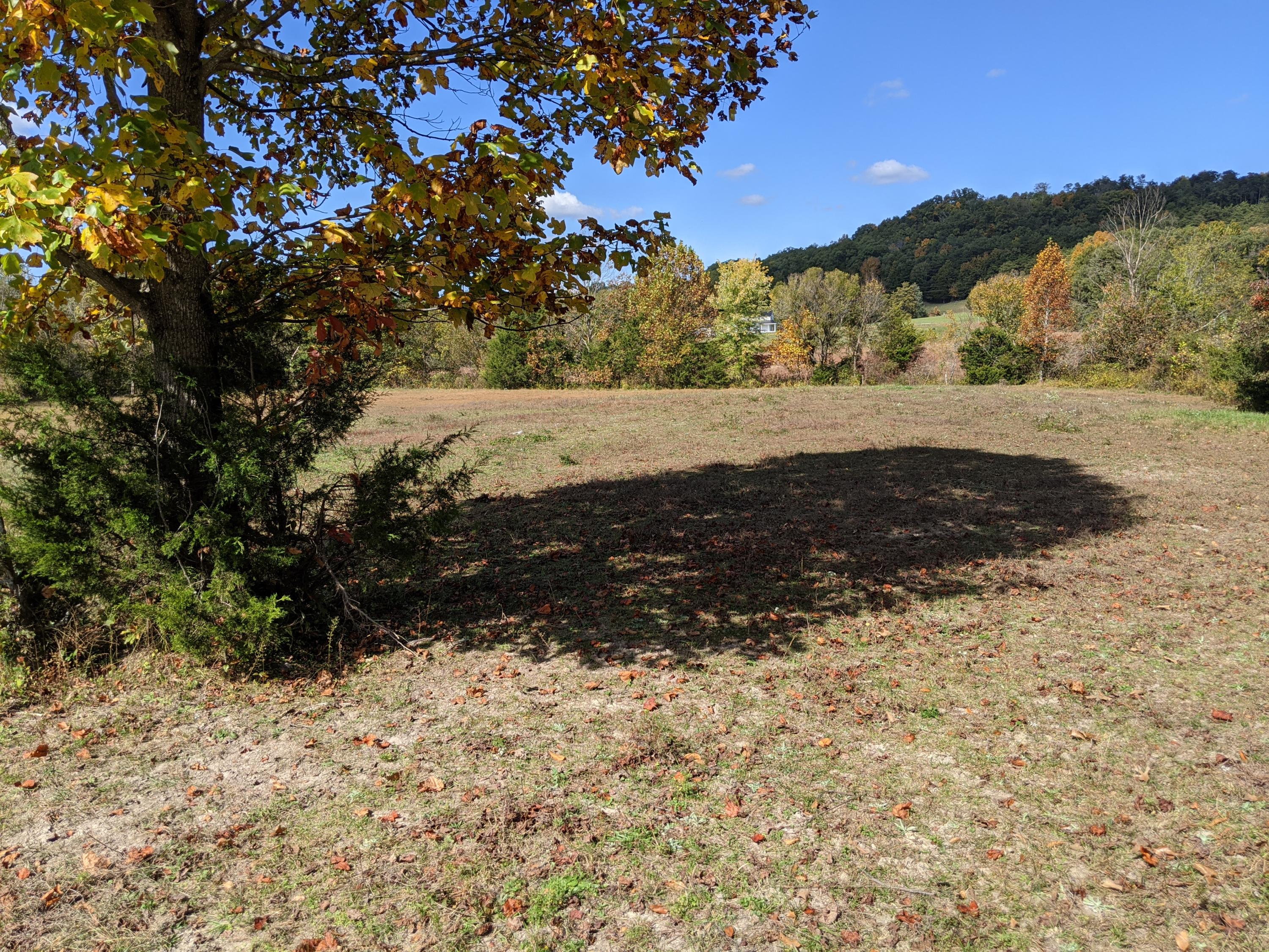 0 White Sands Road, Unit 31 Greeneville, TN 37743 - Photo 36 of 41 PXL_20201022_171344819
