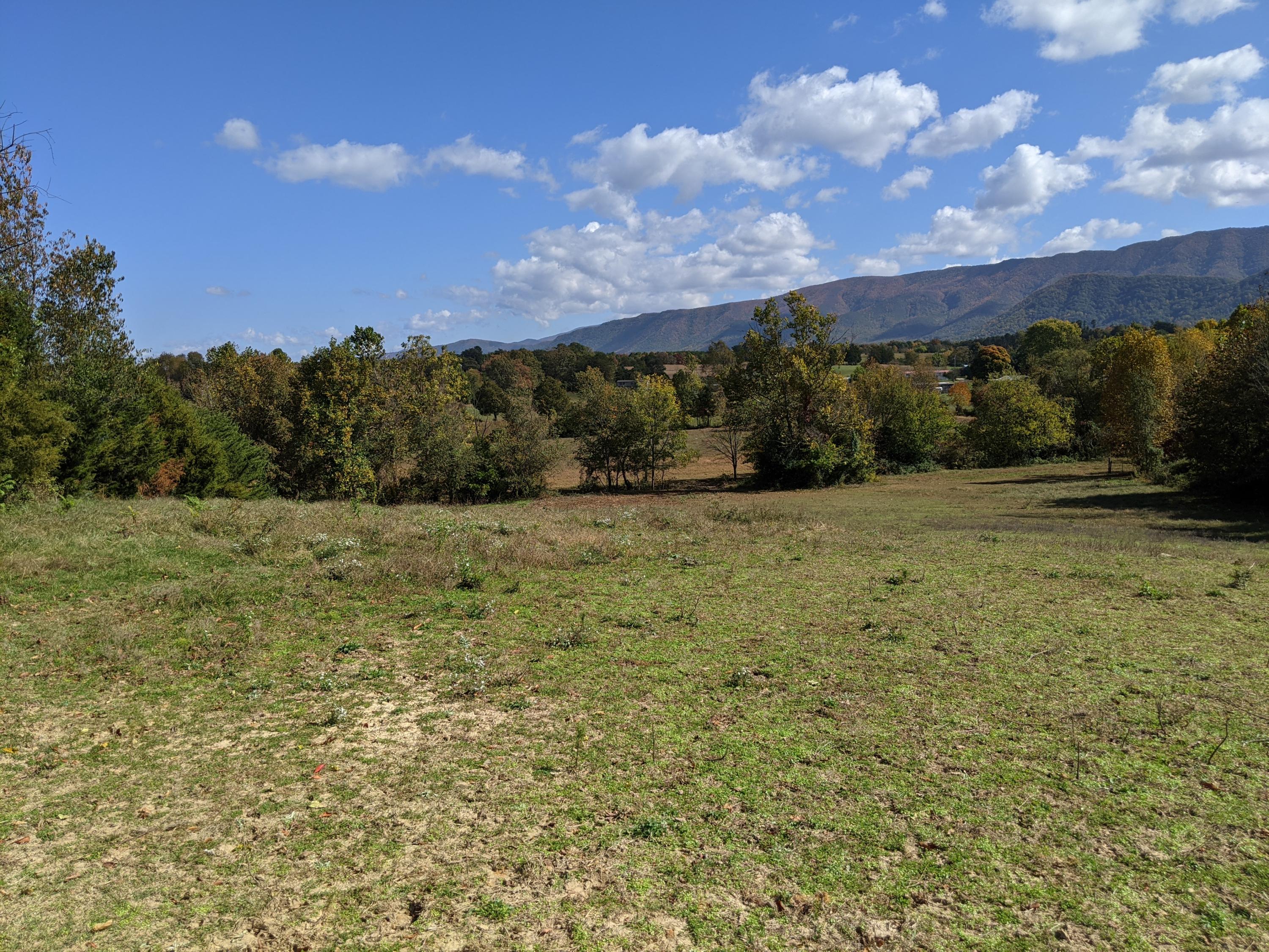 0 White Sands Road, Unit 31 Greeneville, TN 37743 - Photo 37 of 41 PXL_20201022_171620296
