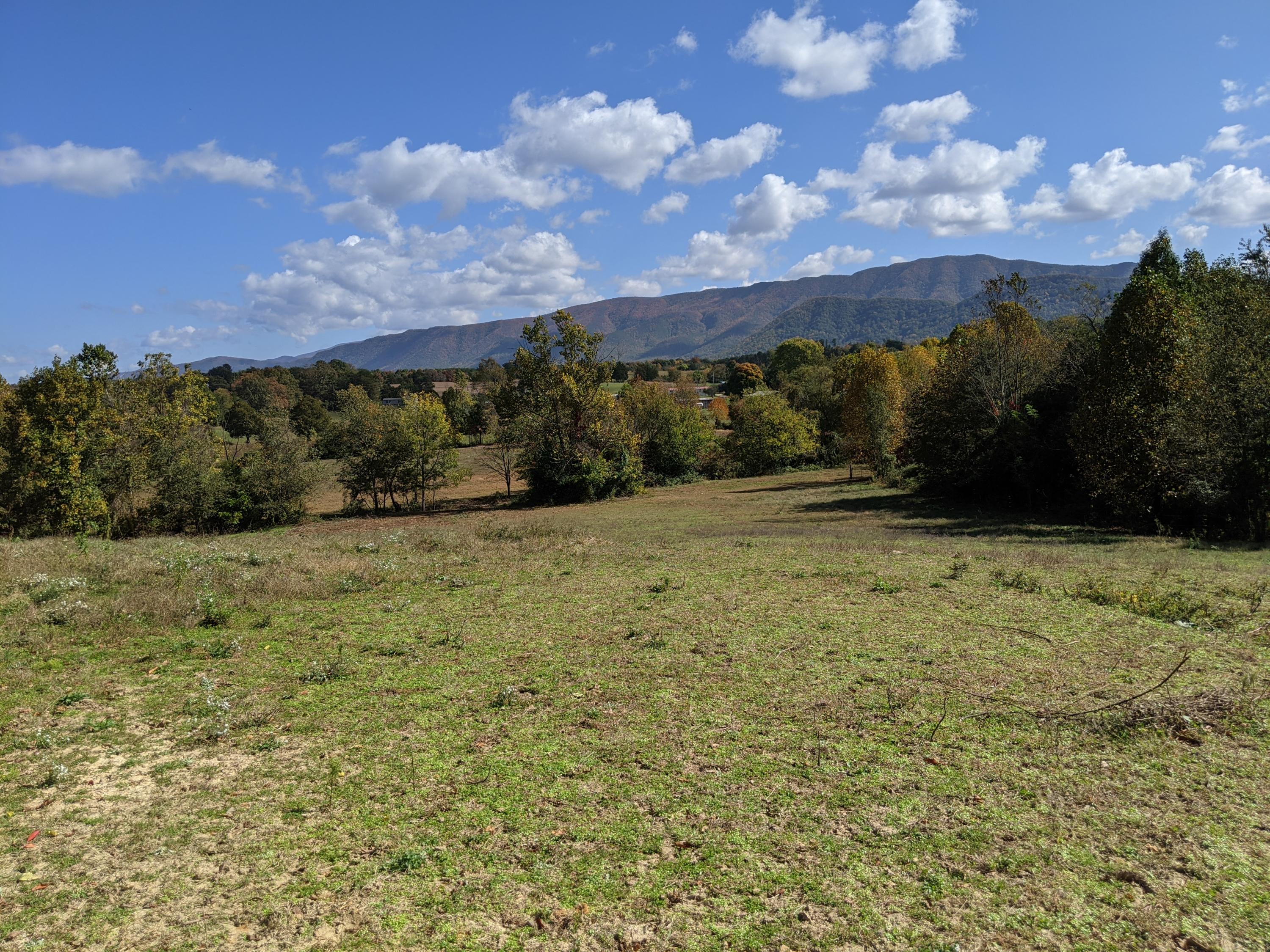 0 White Sands Road, Unit 31 Greeneville, TN 37743 - Photo 38 of 41 PXL_20201022_171621383