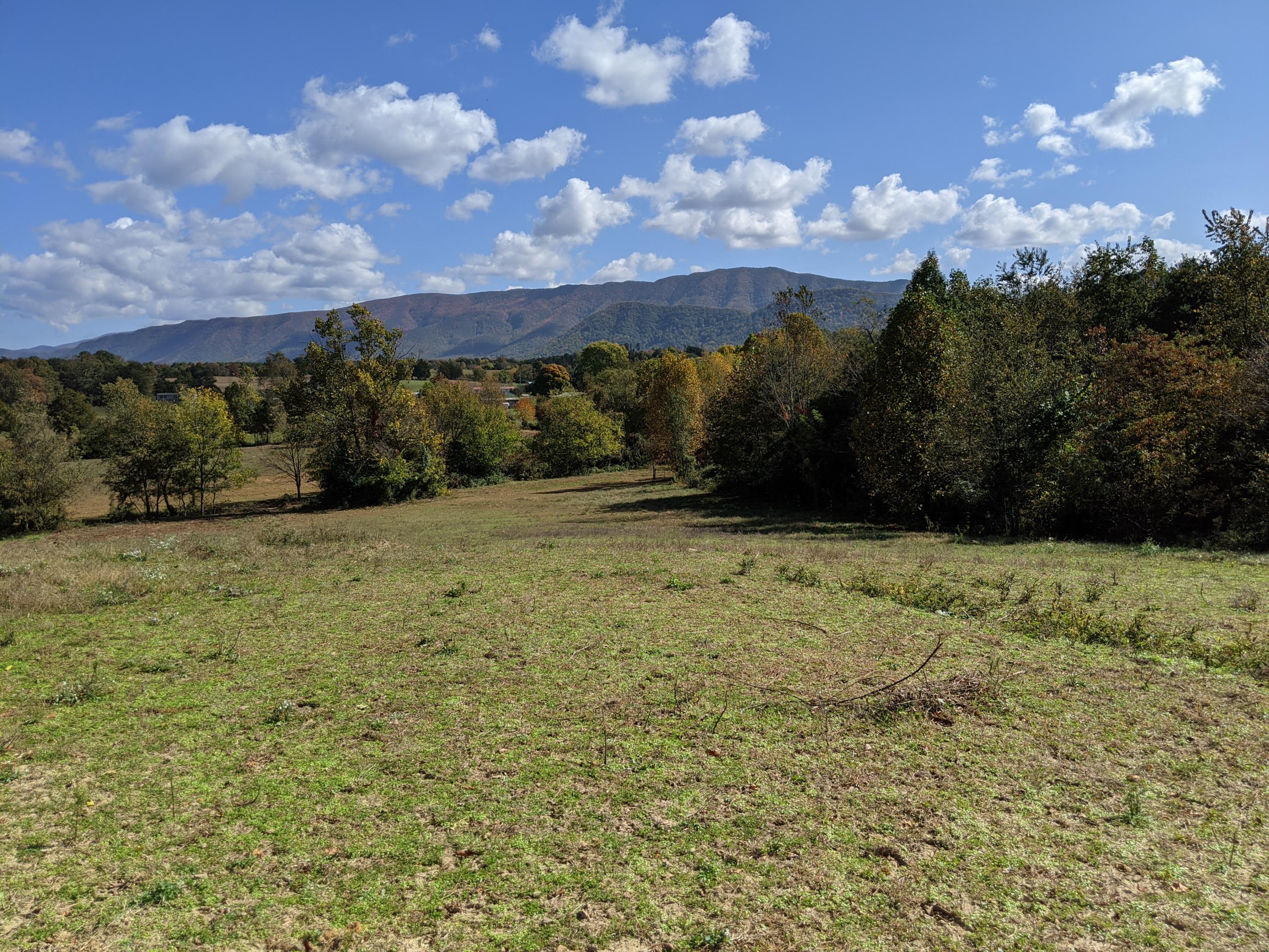 0 White Sands Road, Unit 31 Greeneville, TN 37743 - Photo 39 of 41 PXL_20201022_171622402