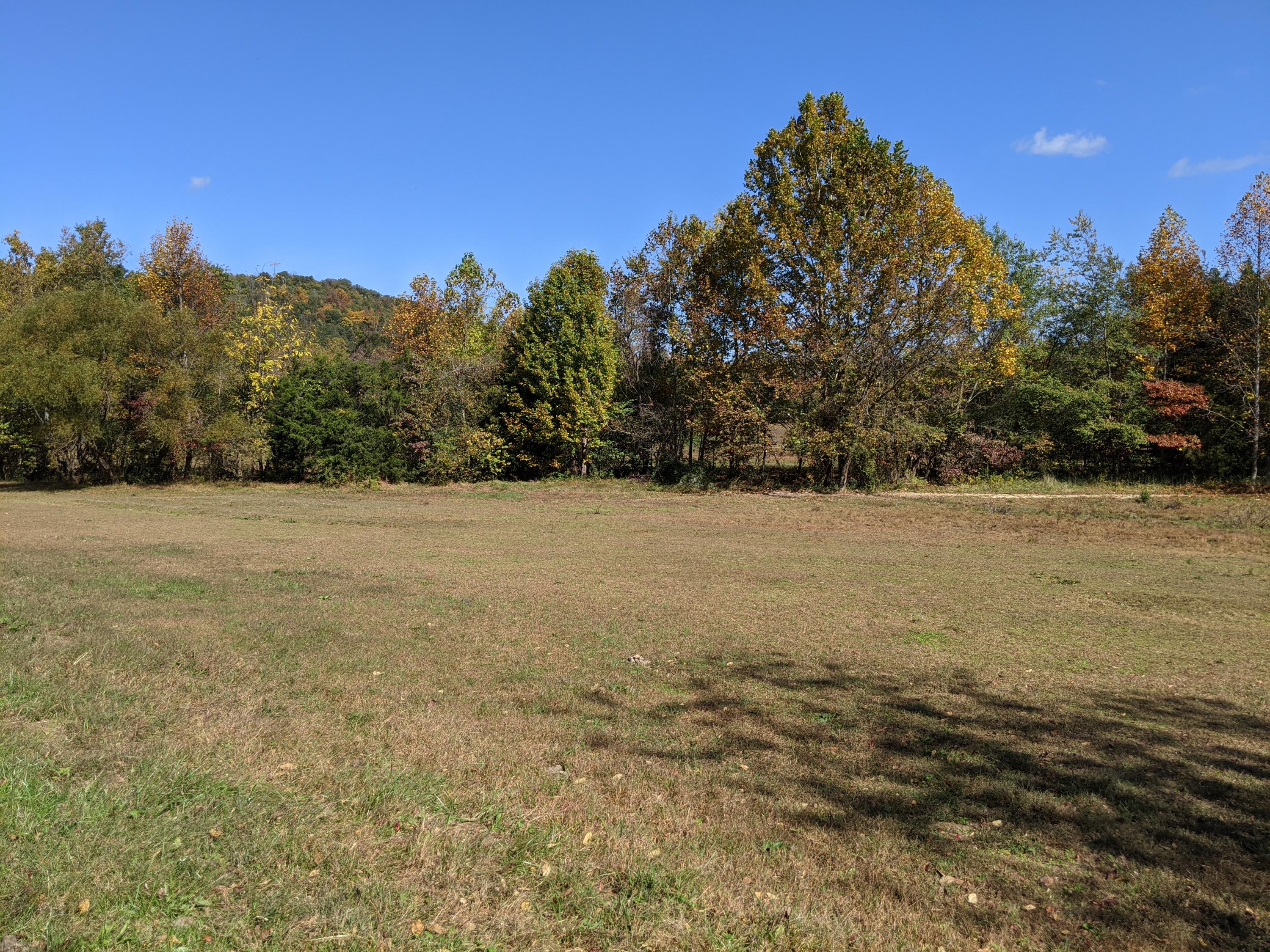 0 White Sands Road, Unit 31 Greeneville, TN 37743 - Photo 4 of 41 PXL_20201022_170559489