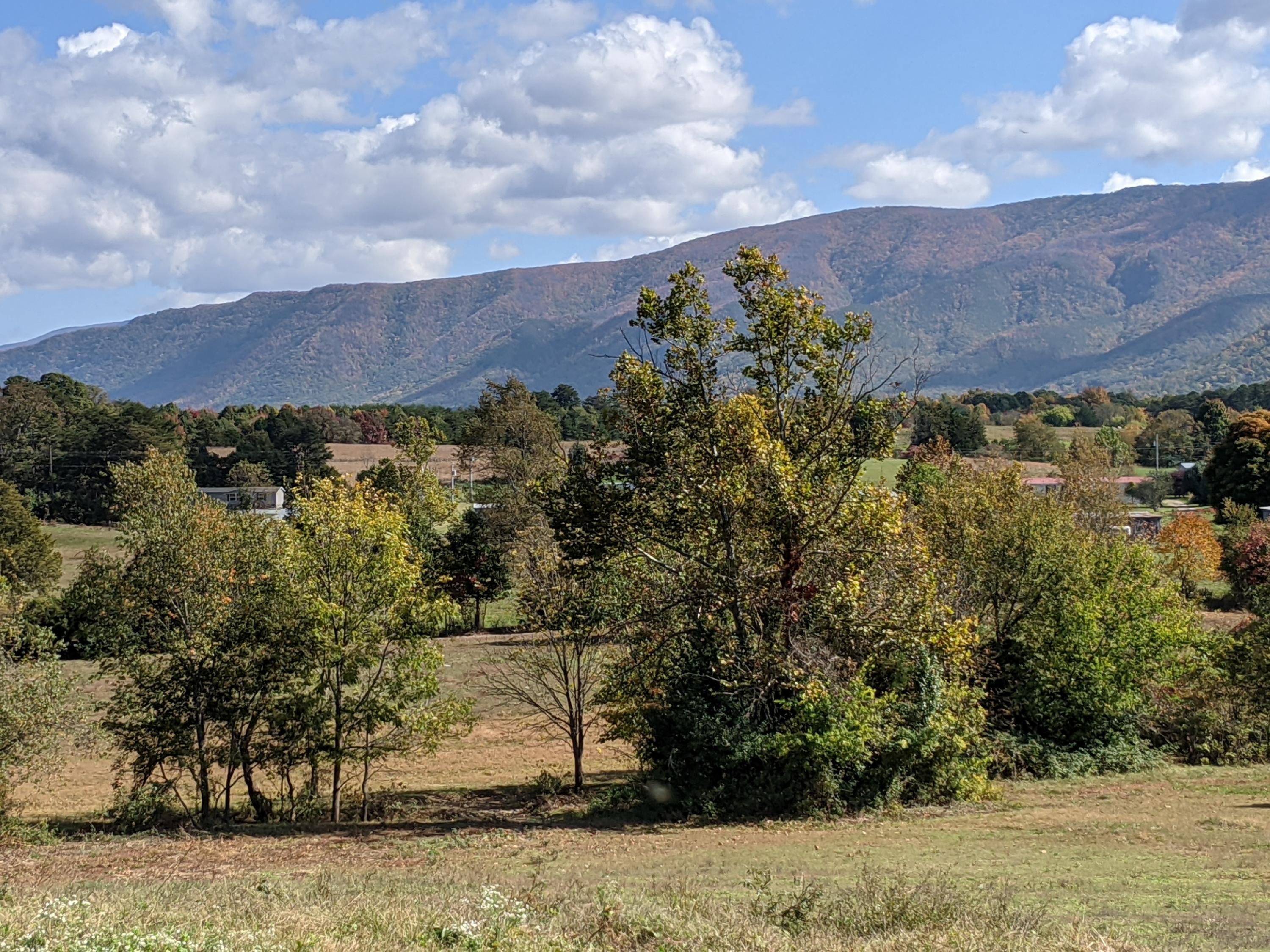 0 White Sands Road, Unit 31 Greeneville, TN 37743 - Photo 41 of 41 PXL_20201022_171645078