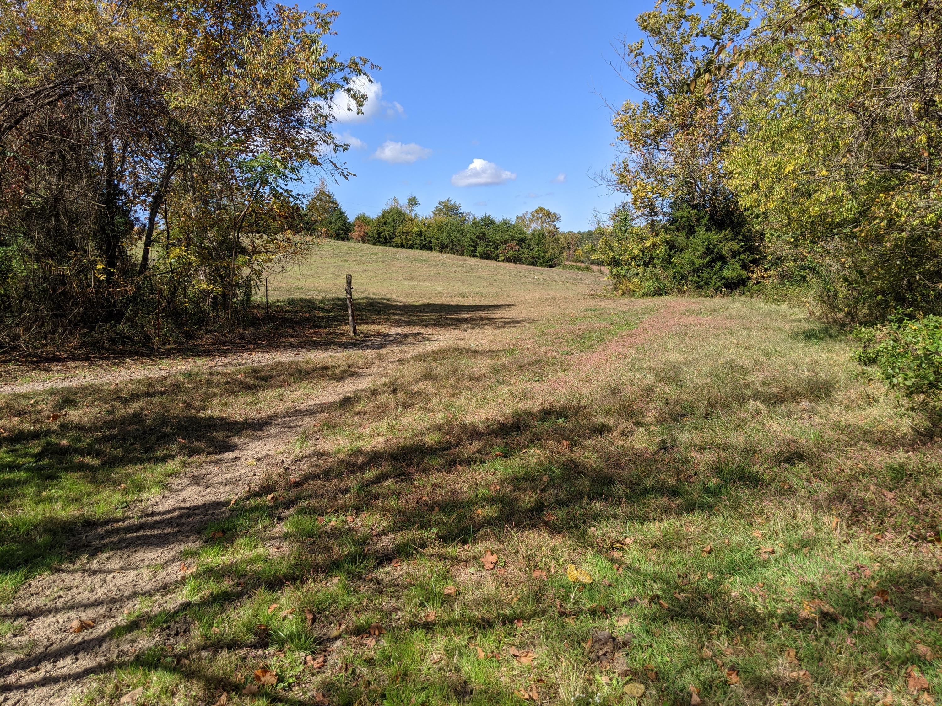0 White Sands Road, Unit 31 Greeneville, TN 37743 - Photo 8 of 41 PXL_20201022_170720896