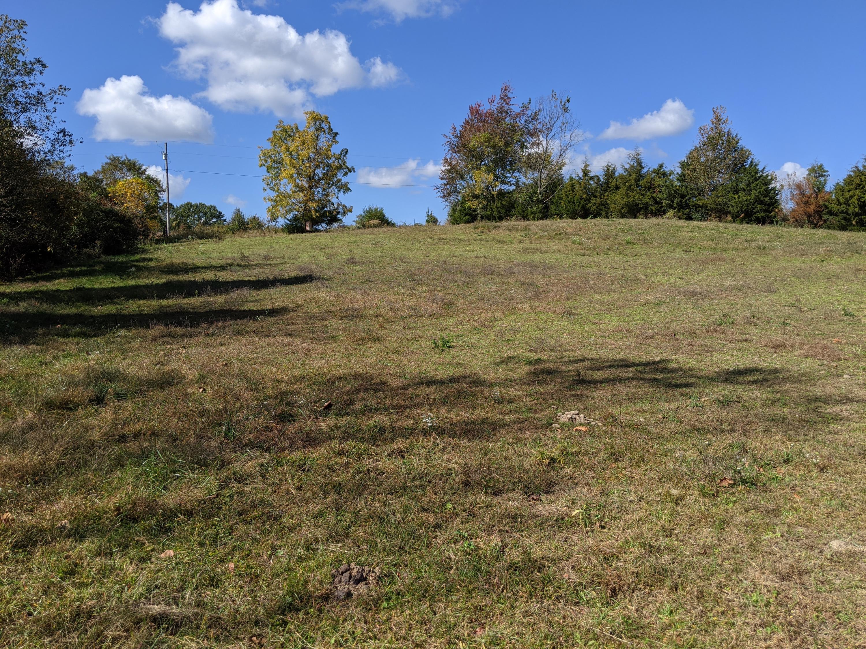 0 White Sands Road, Unit 31 Greeneville, TN 37743 - Photo 10 of 41 PXL_20201022_170821940