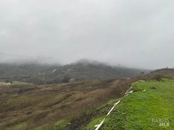 a view of a field of an ocean