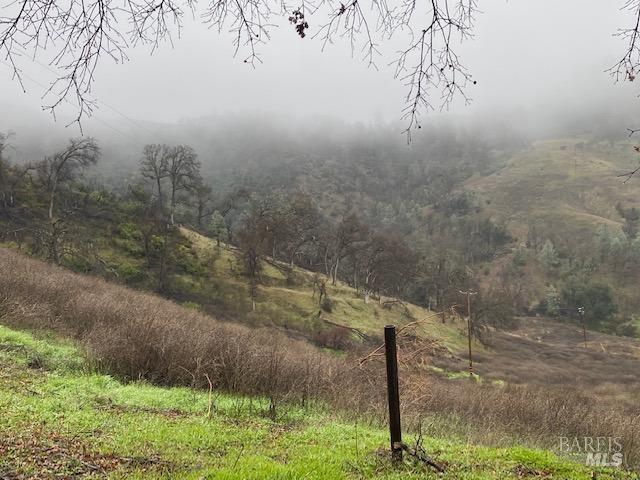 20350 Morgan Valley Road Lower Lake, CA 95457 - Photo 4 of 14 a view of a yard with an trees