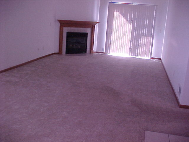 2000 Trillium Trail, Unit B Poplar Grove, IL 61065 - Photo 2 of 12 a view of an empty room with a fireplace and a window