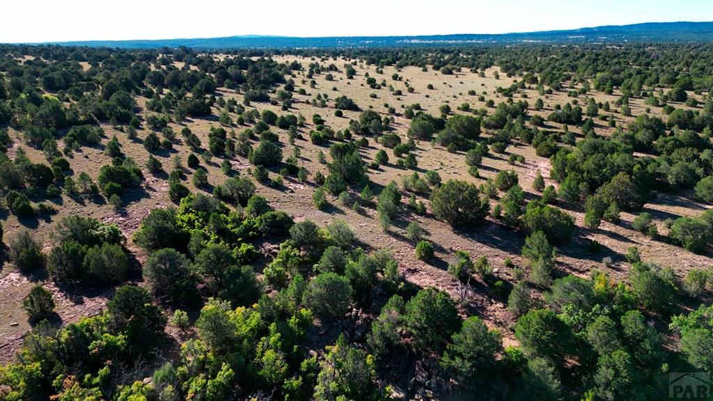 Tbd Bear Creek Road Walsenburg, CO 81089 - Photo 29 of 37