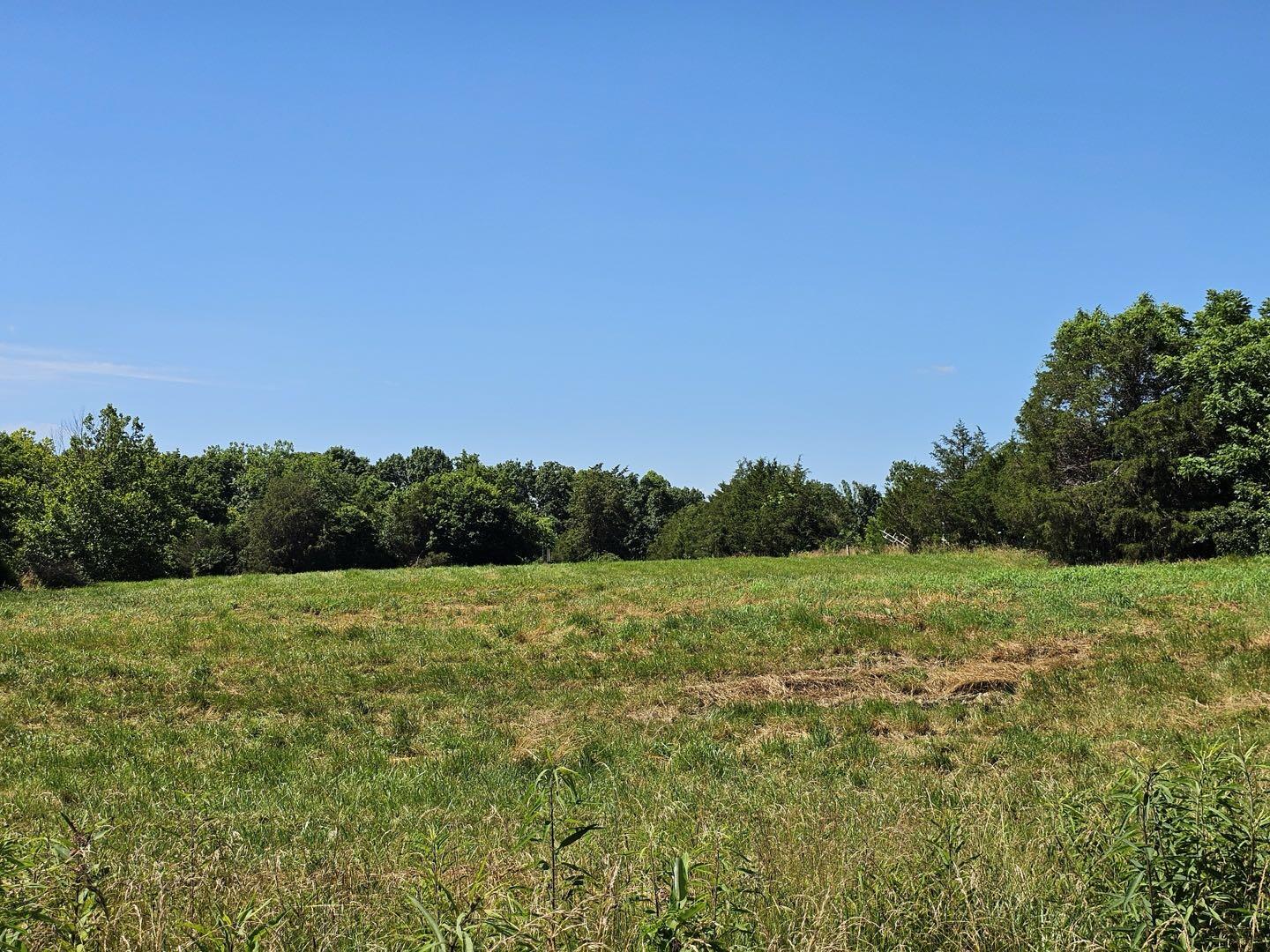 0 Deep Wl Wds Road Crab Orchard, KY 40419 - Photo 13 of 16 rs20250702_16065029