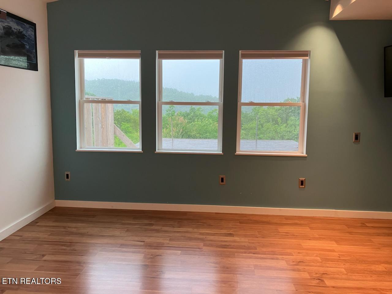 1407 Holloway Ridge Road Spring City, TN 37381 - Photo 40 of 60 1000020627