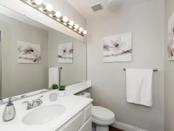 a bathroom with a sink vanity and toilet