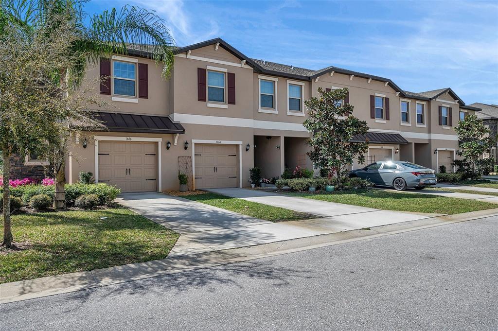 11650 Castine Street New Port Richey, FL 34654 - Photo 1 of 1 a front view of a house with a yard and garage
