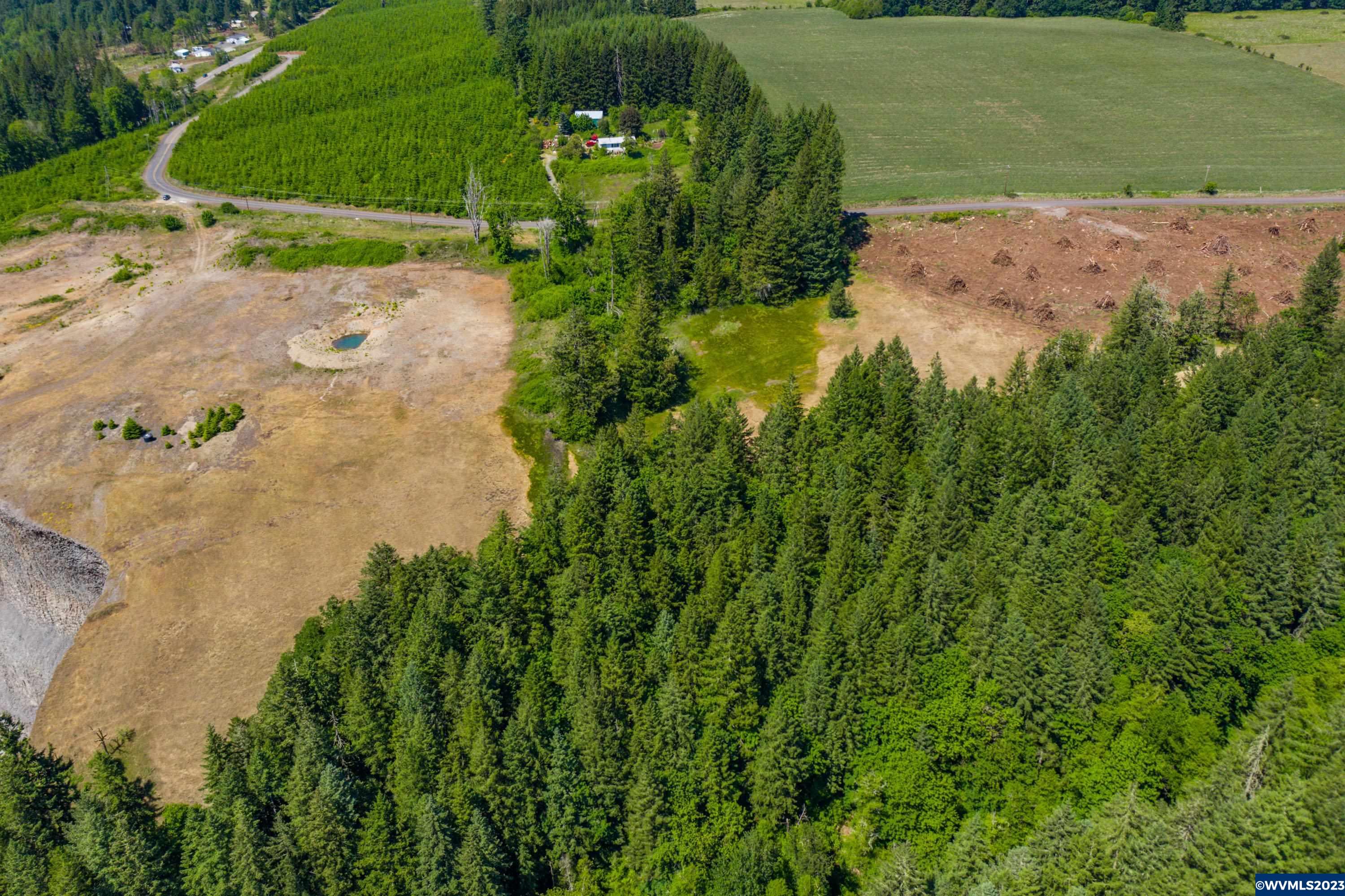 Marks Ridge Sweet Home, OR 97386 - Photo 5 of 32