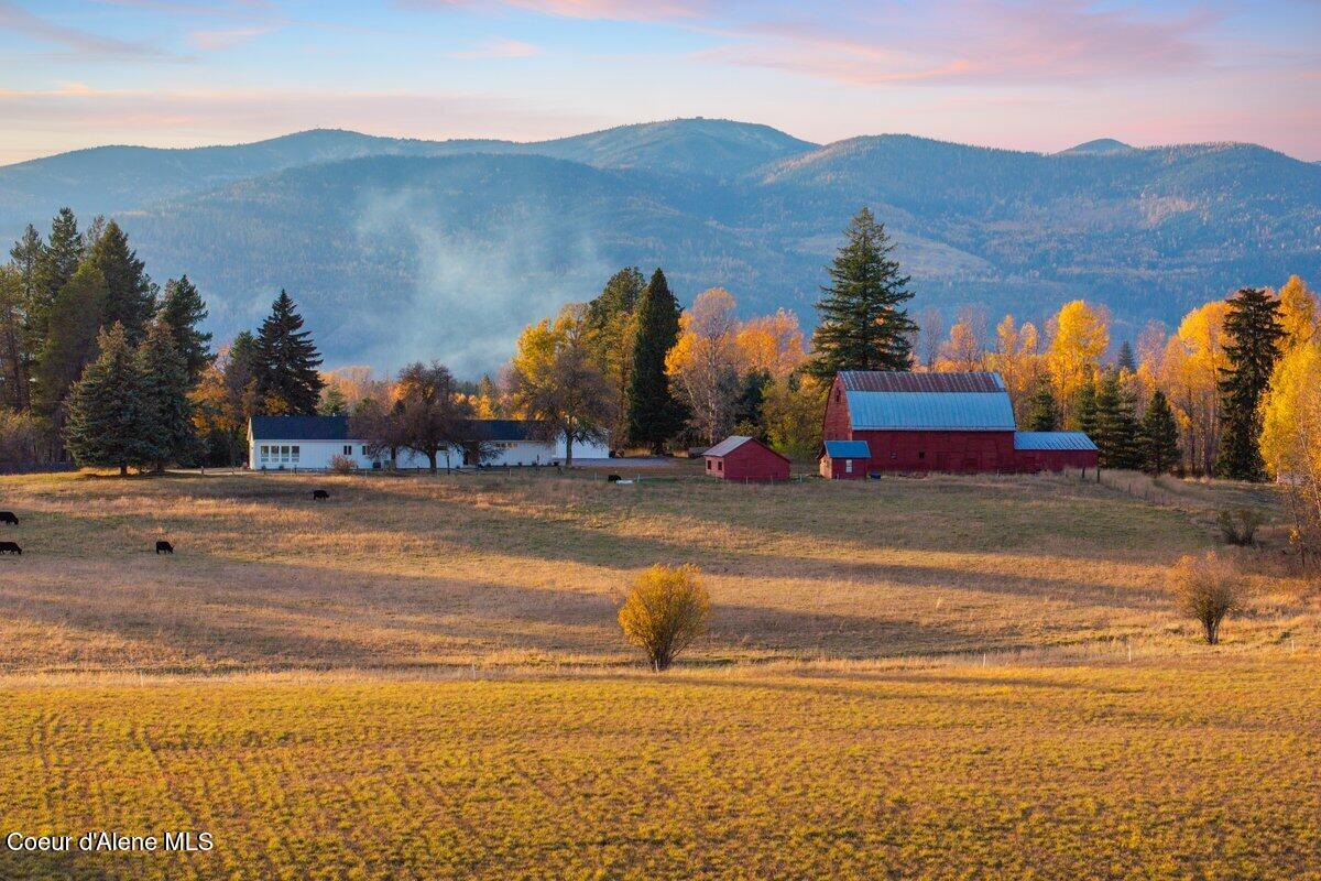 2685 Selle Road Sandpoint, ID 83864 - Photo 6 of 50 2685 Selle Rd001