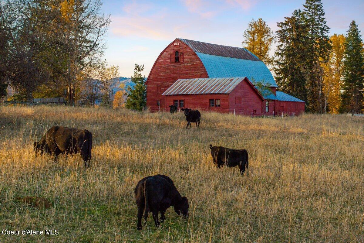 2685 Selle Road Sandpoint, ID 83864 - Photo 9 of 50 2685 Selle Rd009