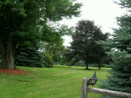 322 Stants Road Ruffs Dale, PA 15679 - Photo 5 of 8 Yard/Garden.