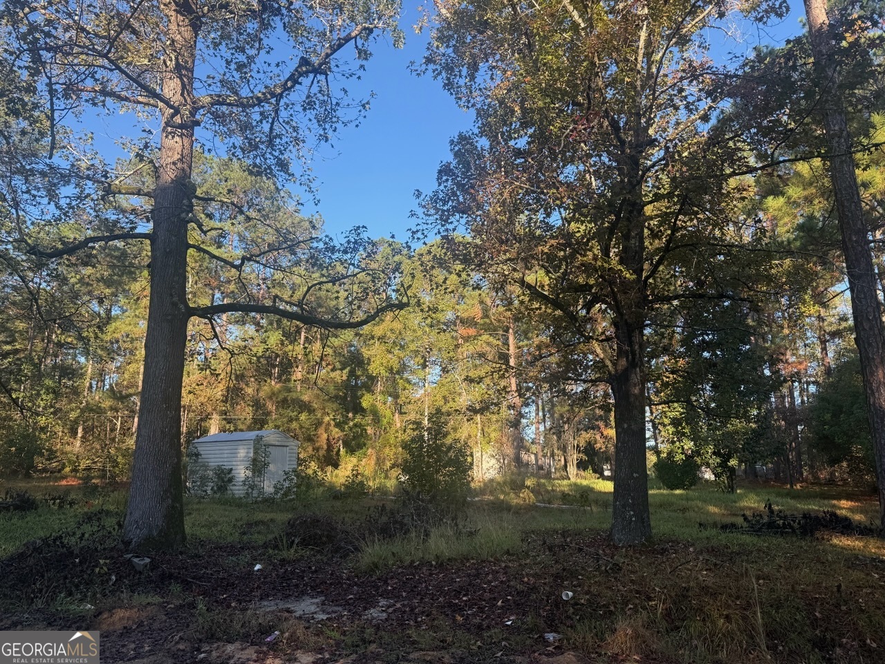 201 Waters Grove Road Sylvania, GA 30467 - Photo 2 of 5 a view of a yard with large trees