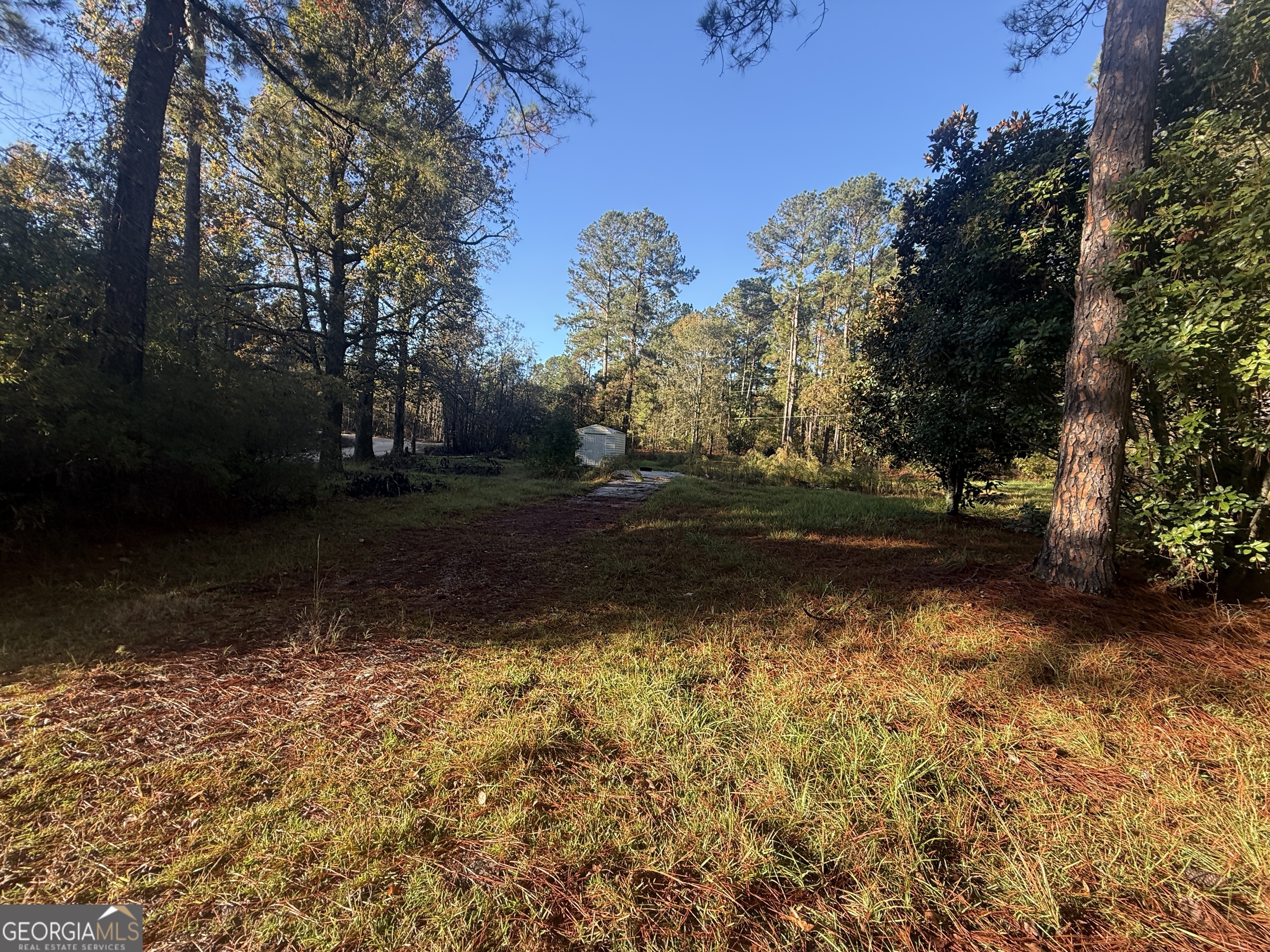 201 Waters Grove Road Sylvania, GA 30467 - Photo 3 of 5 a view of a yard