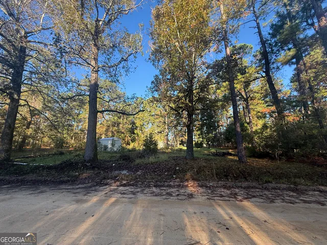 a view of a yard with plants and trees
