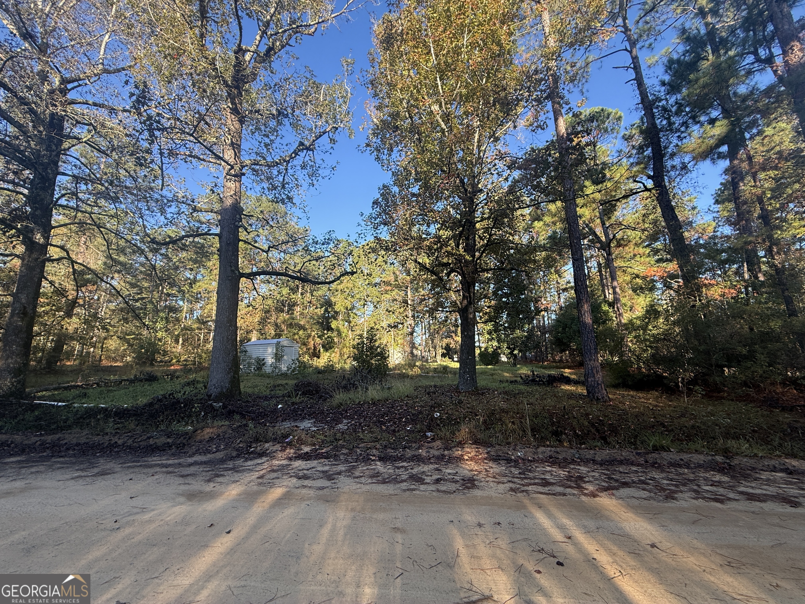 201 Waters Grove Road Sylvania, GA 30467 - Photo 4 of 5 a view of a yard with plants and trees