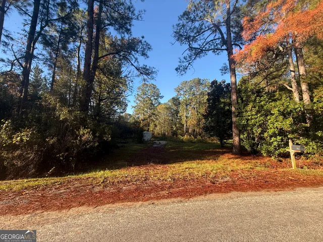 a view of a yard with large trees
