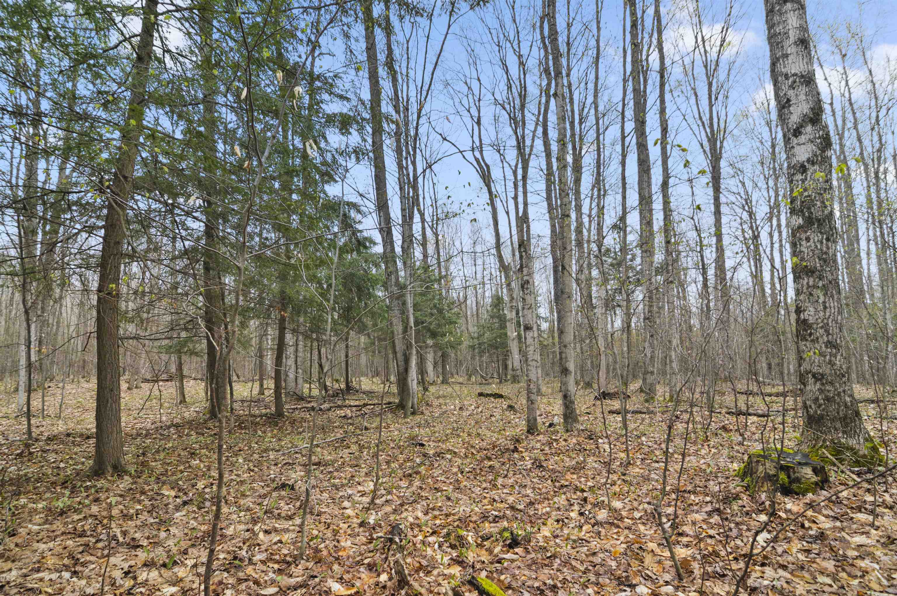 2561 East Johnson Road Lake City, MI 49651 - Photo 43 of 63