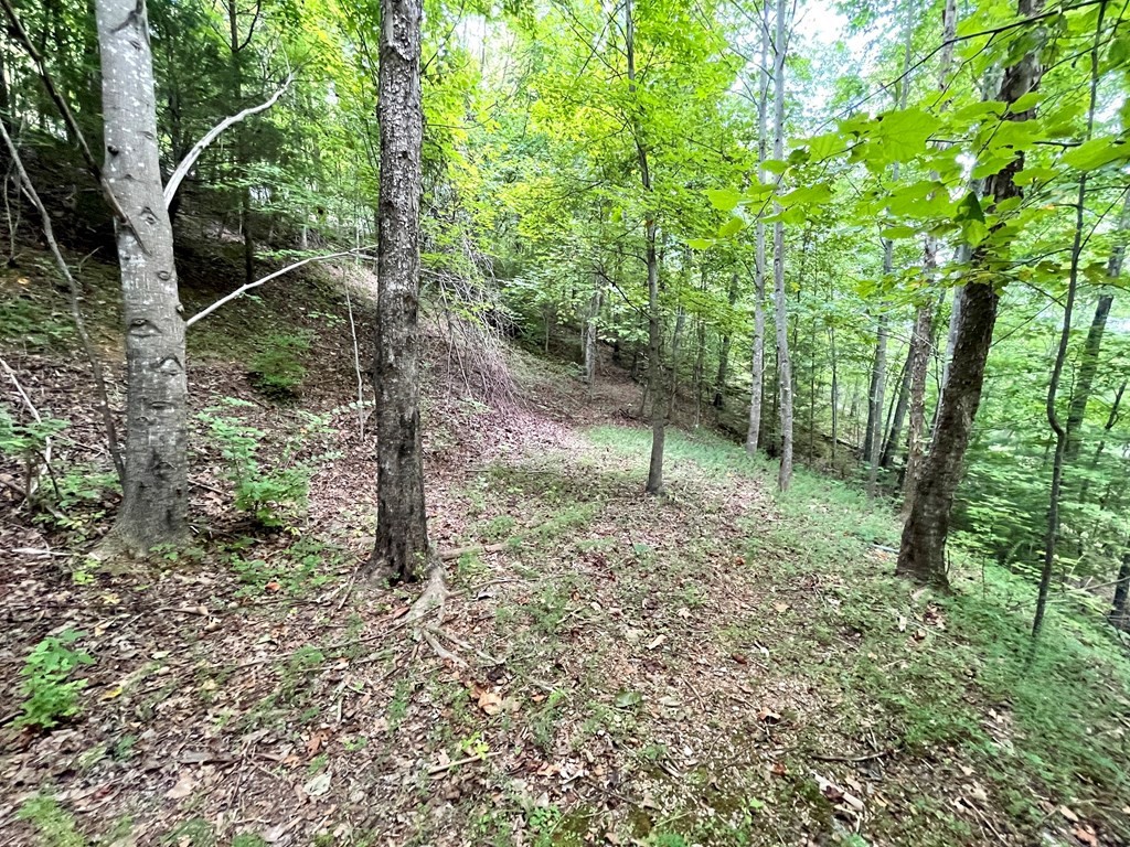 4060 Ridgeback Lane Sevierville, TN 37862 - Photo 10 of 24