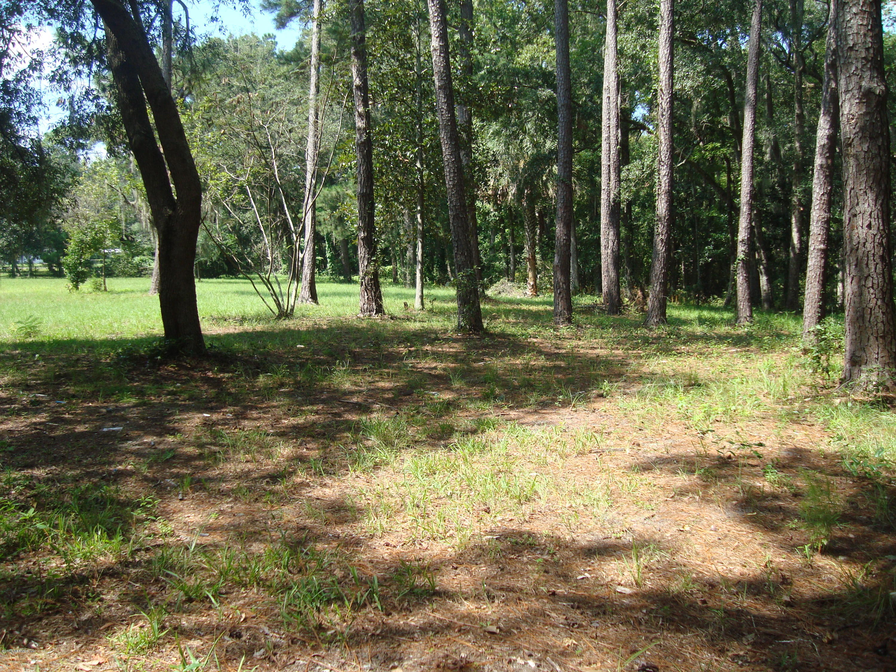 12541 Pulaski Road Jacksonville, FL 32218 - Photo 1 of 1 Side Yard