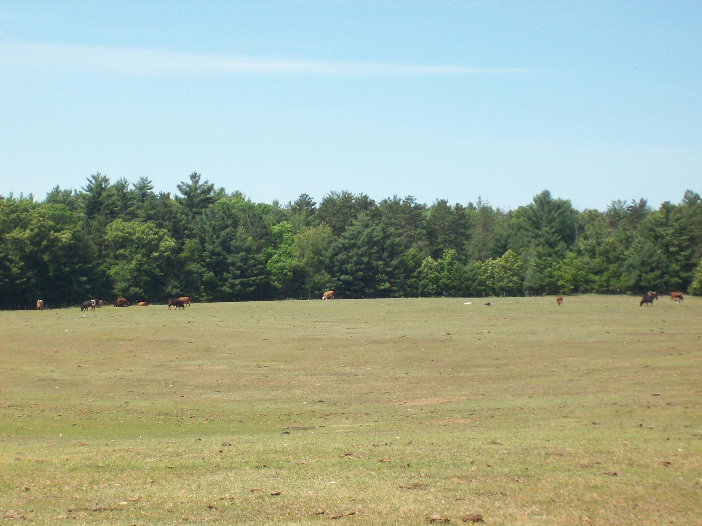 N6702 12th Road Montello, WI 53949 - Photo 46 of 79