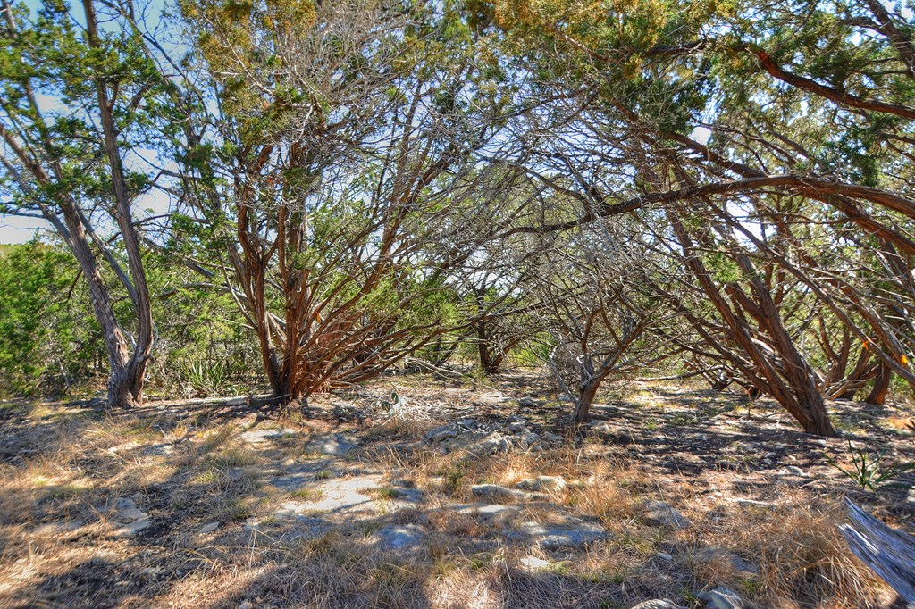 270 Sanders Road Center Point, TX 78010 - Photo 22 of 36