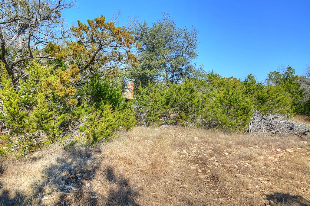 270 Sanders Road Center Point, TX 78010 - Photo 24 of 36