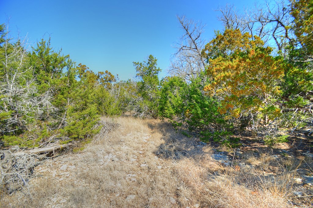 270 Sanders Road Center Point, TX 78010 - Photo 25 of 36